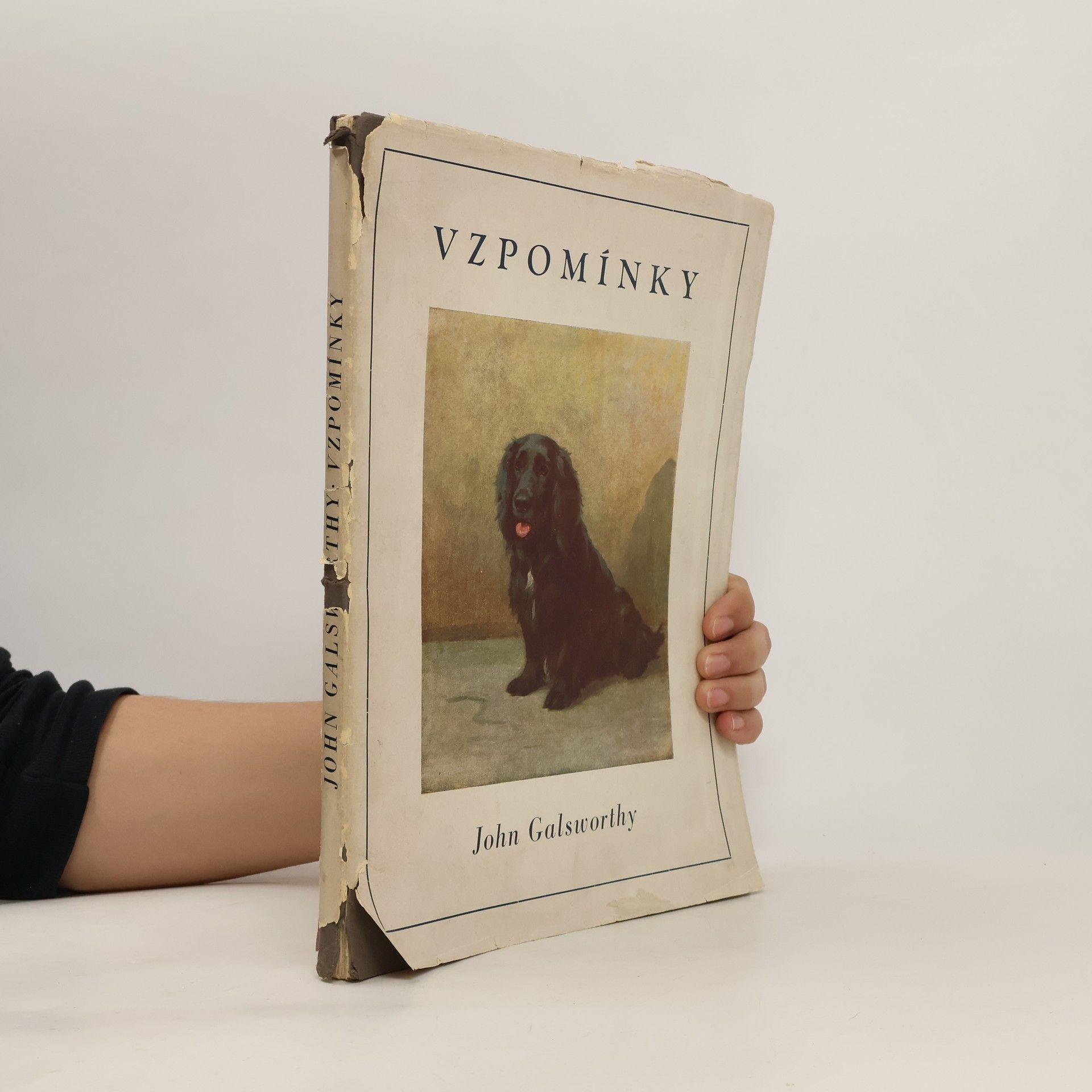 John Galsworthy Vzpomínky