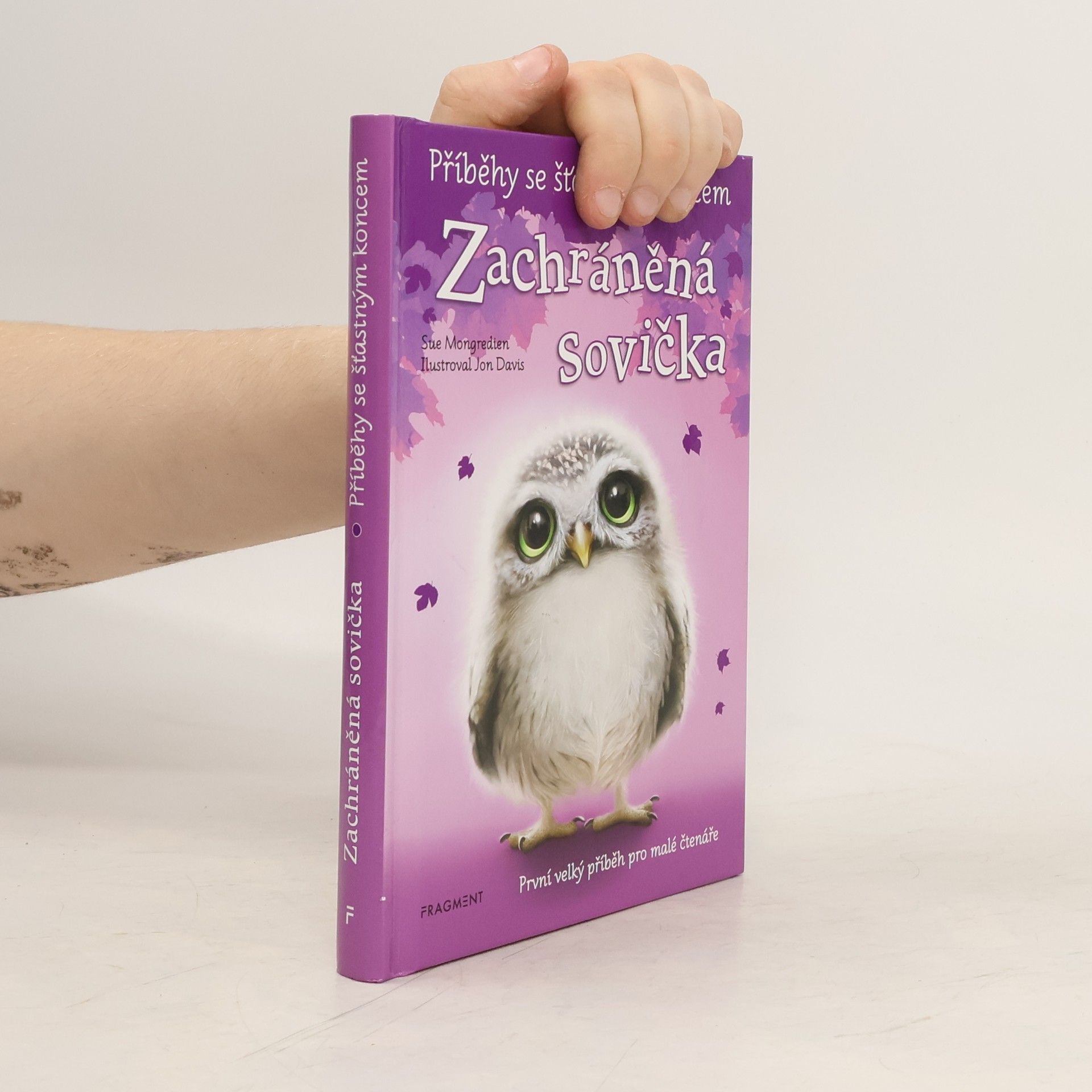Lucy Diamond Zachráněná sovička