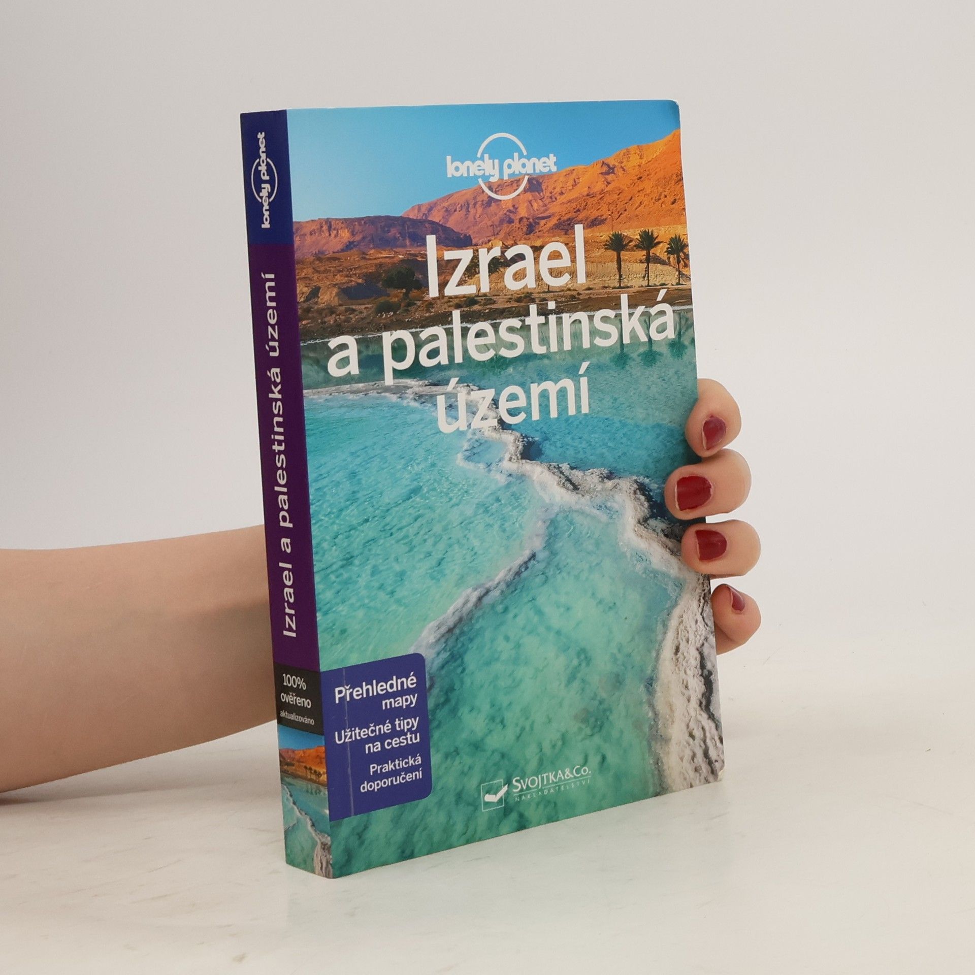 Collectif d'auteurs Izrael a palestinská území