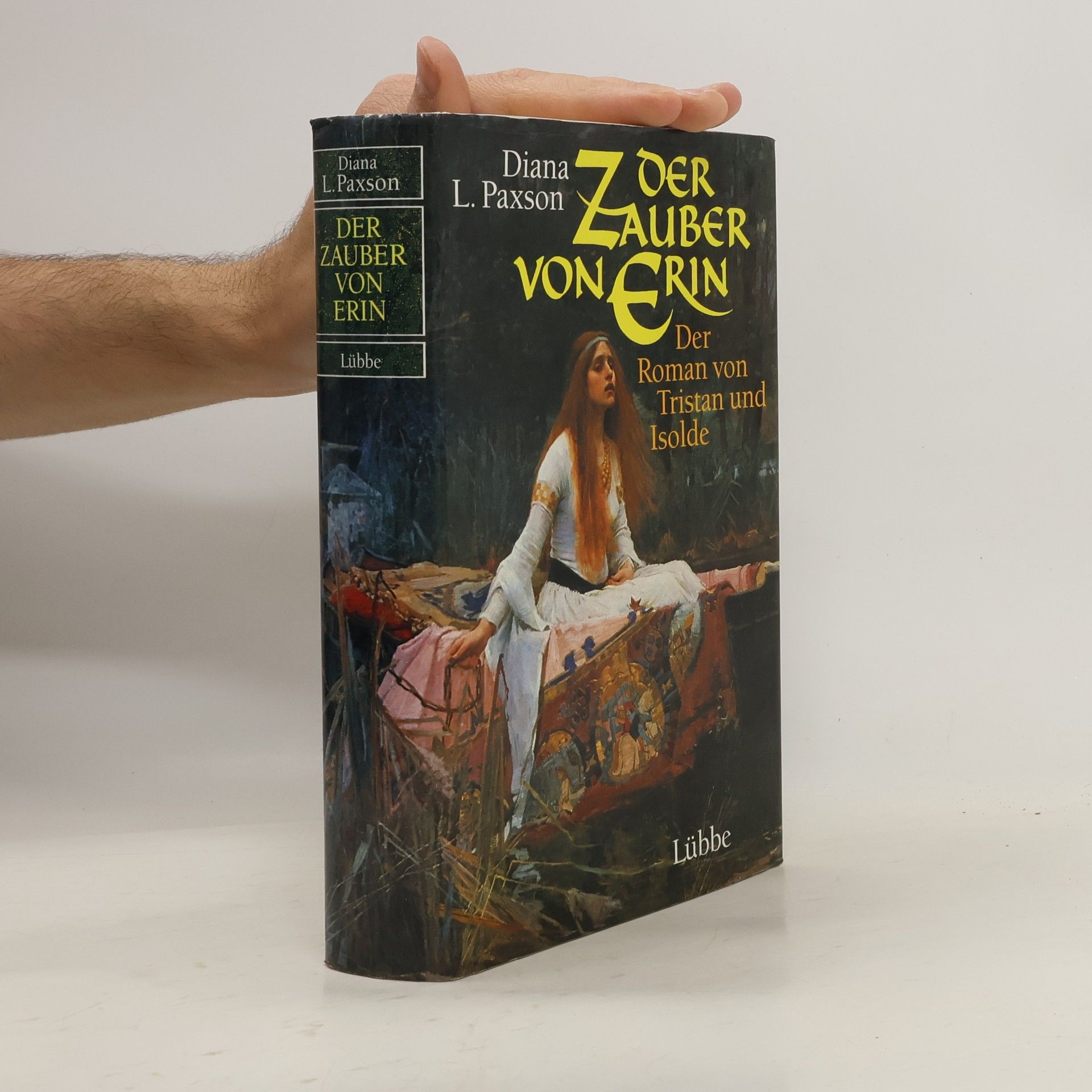 Diana L. Paxson Der Zauber von Erin