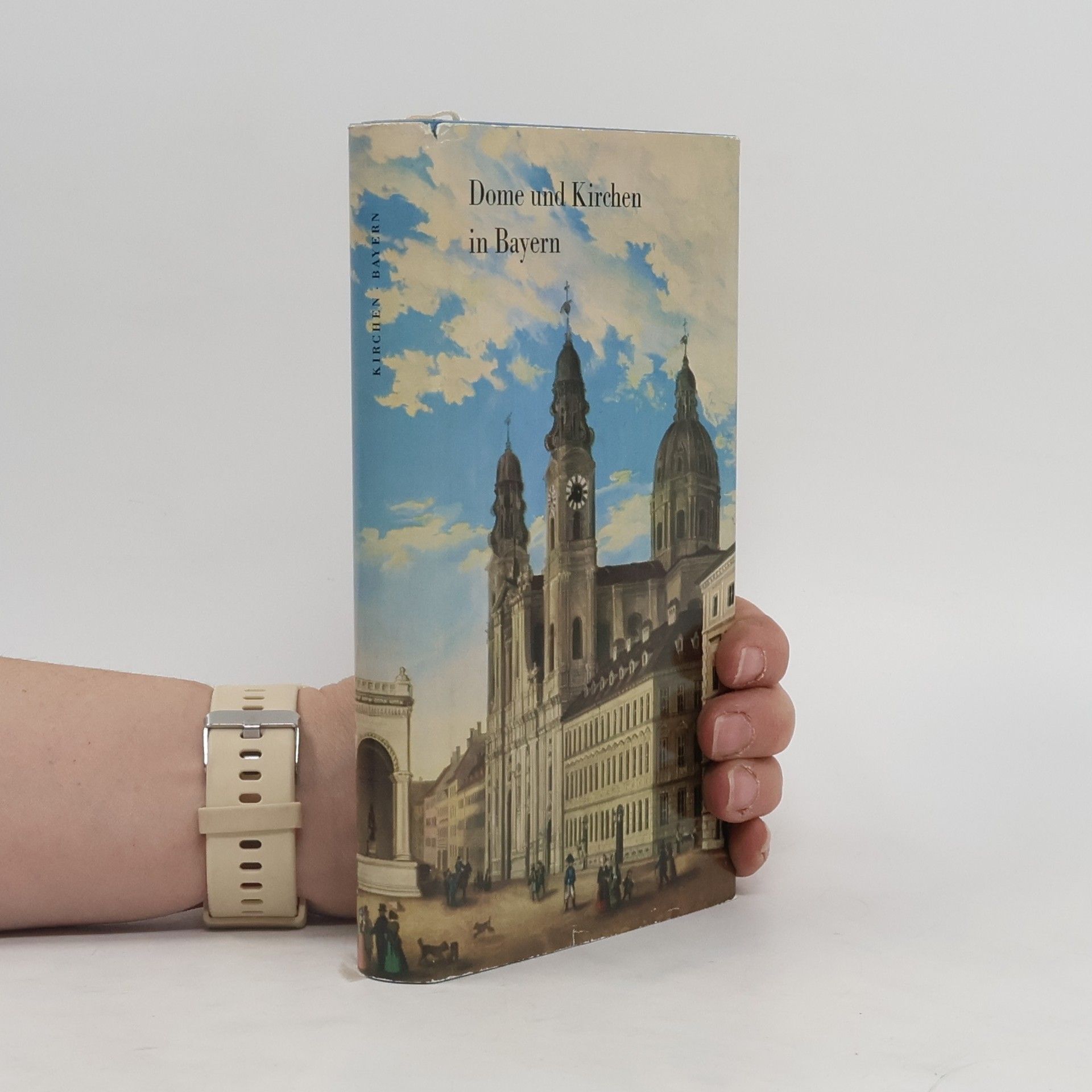 Werner Meyer-Larsen Dome und Kirchen in Bayern