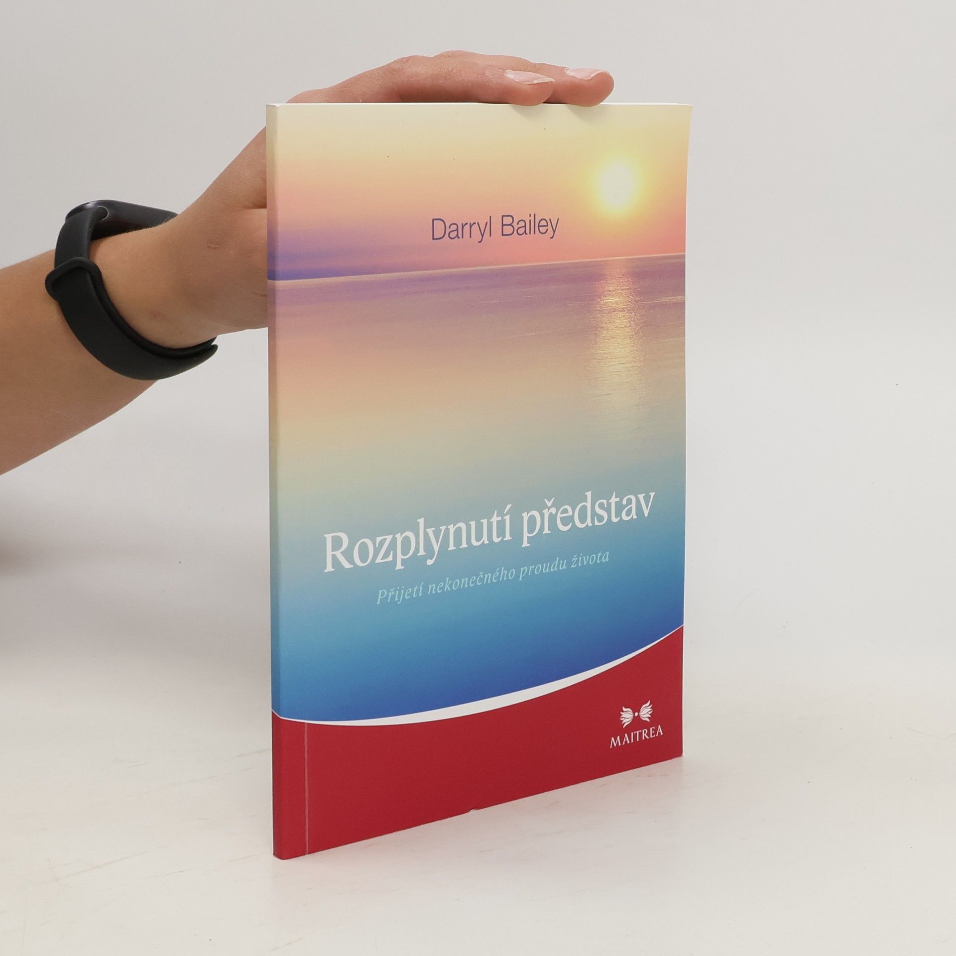 Darryl Bailey Rozplynutí představ: Přijetí nekonečného proudu života