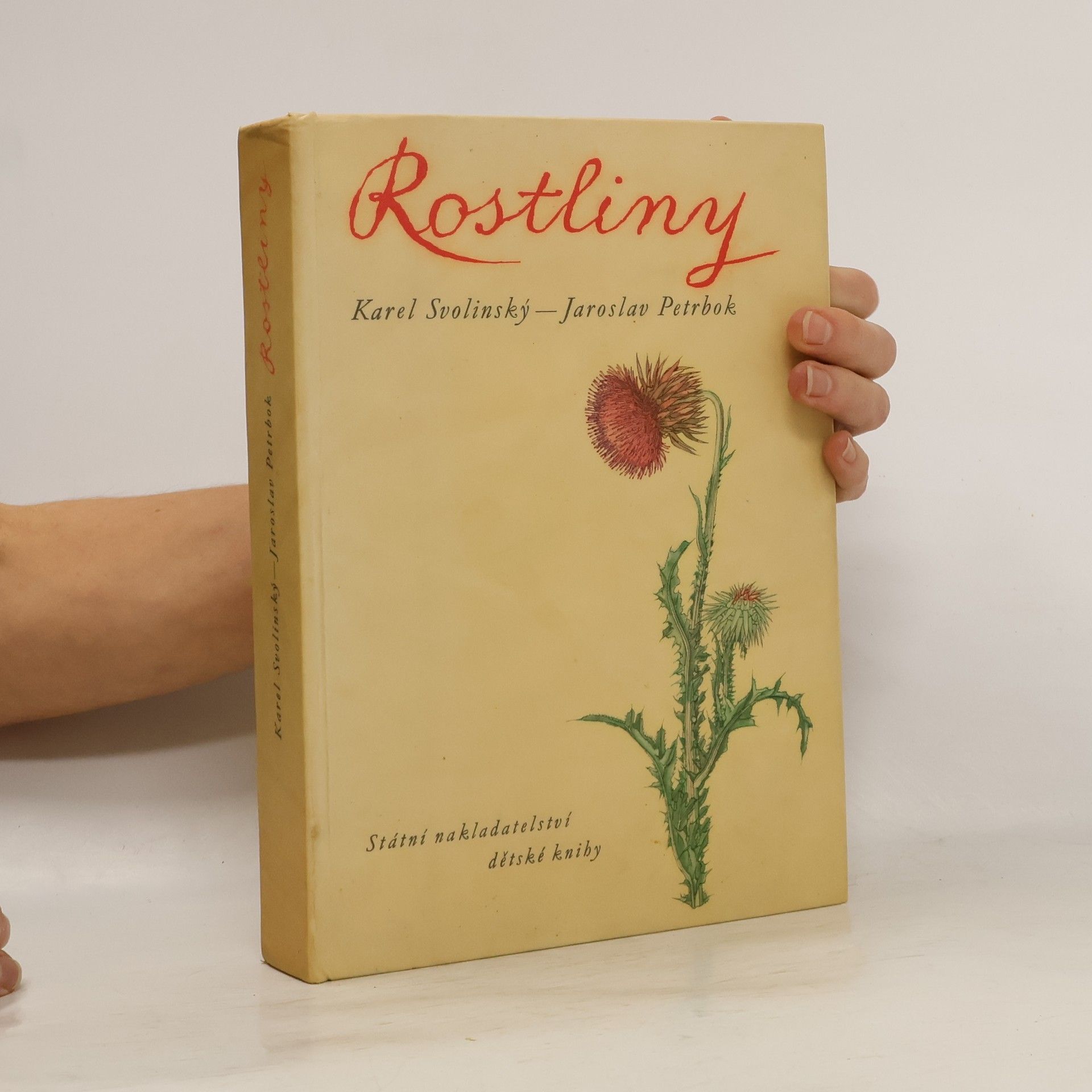 Karel Svolinský Rostliny