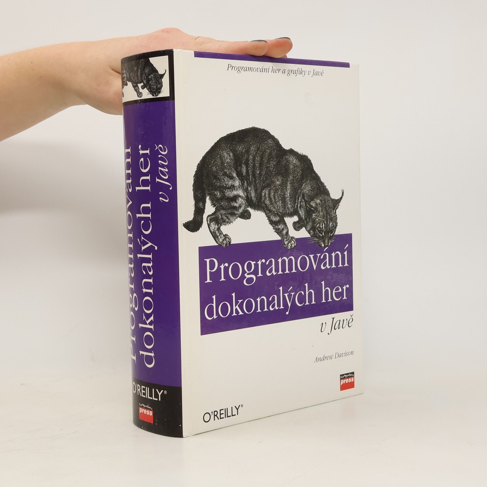Andrew Davison Programování dokonalých her v Javě
