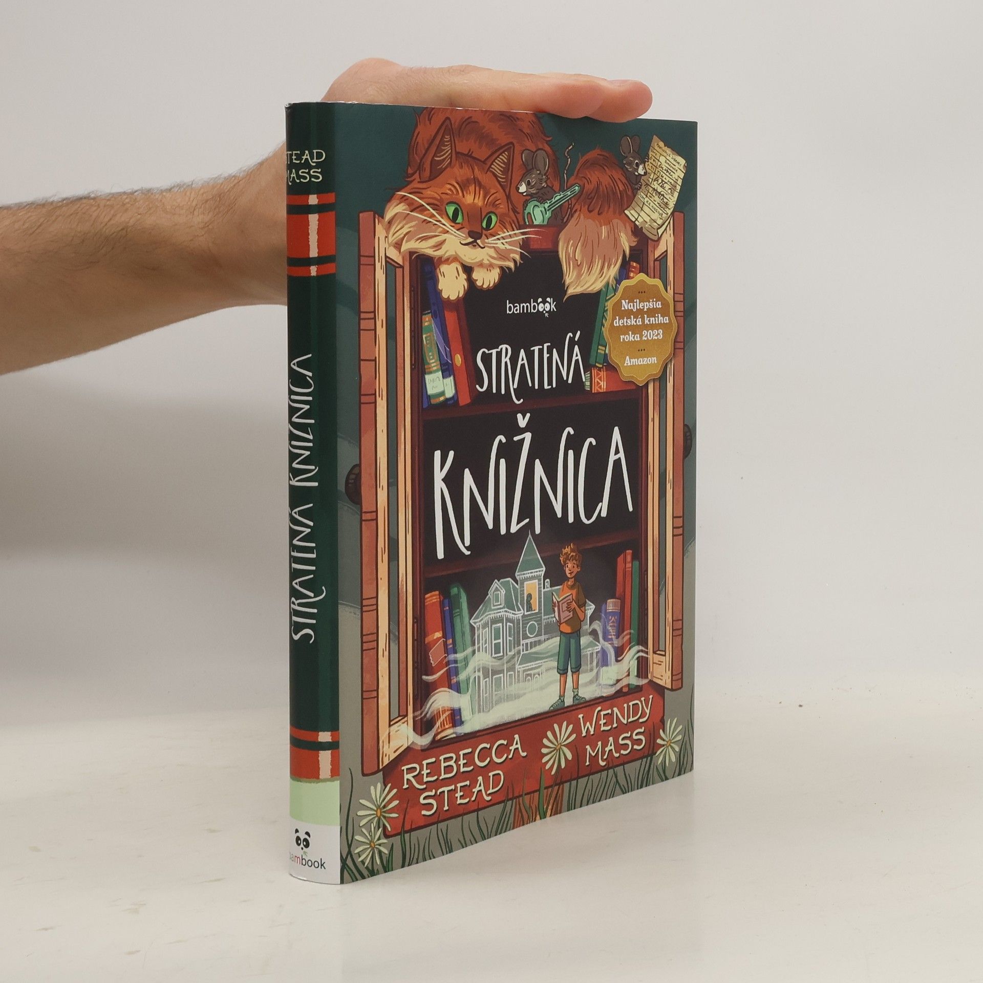 Rebecca Stead Stratená knižnica