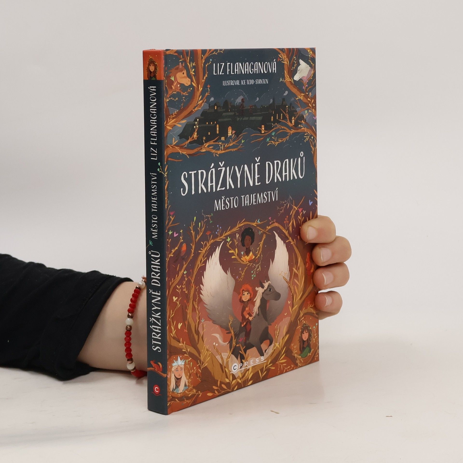 Liz Flanagan Strážkyně draků. Město tajemství