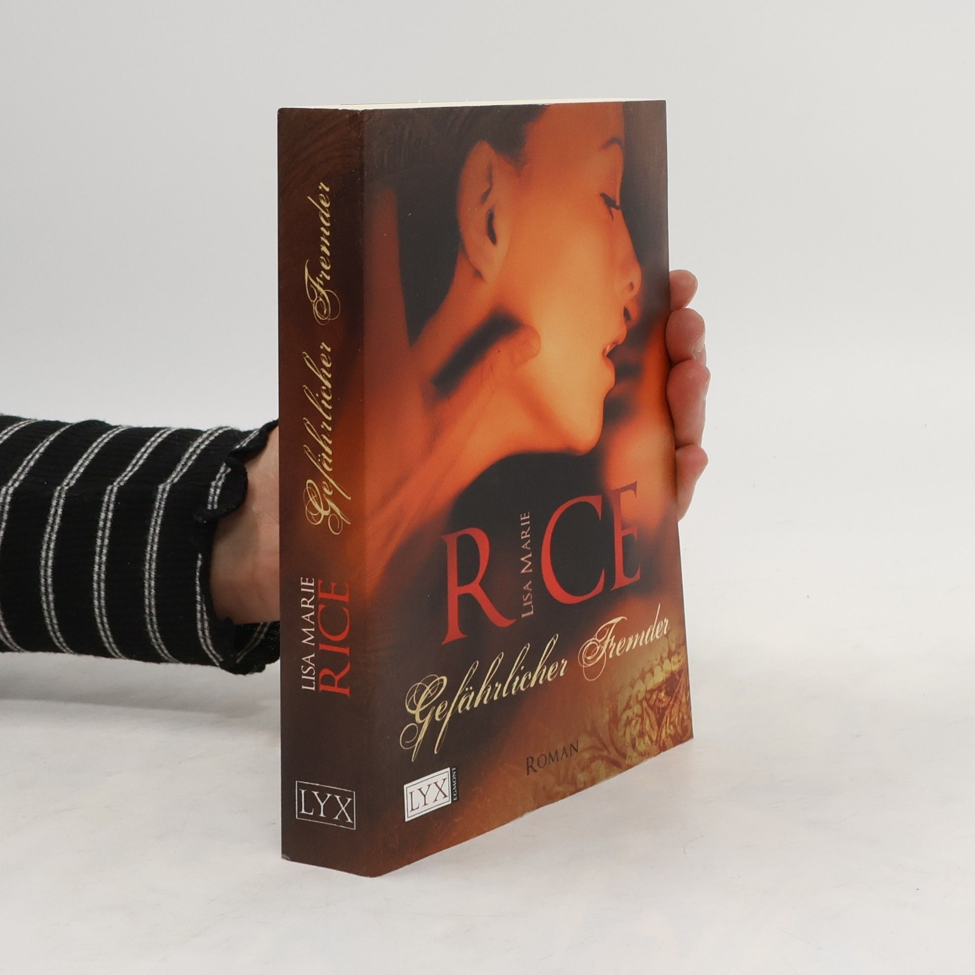 Lisa Marie Rice Gefährlicher Fremder
