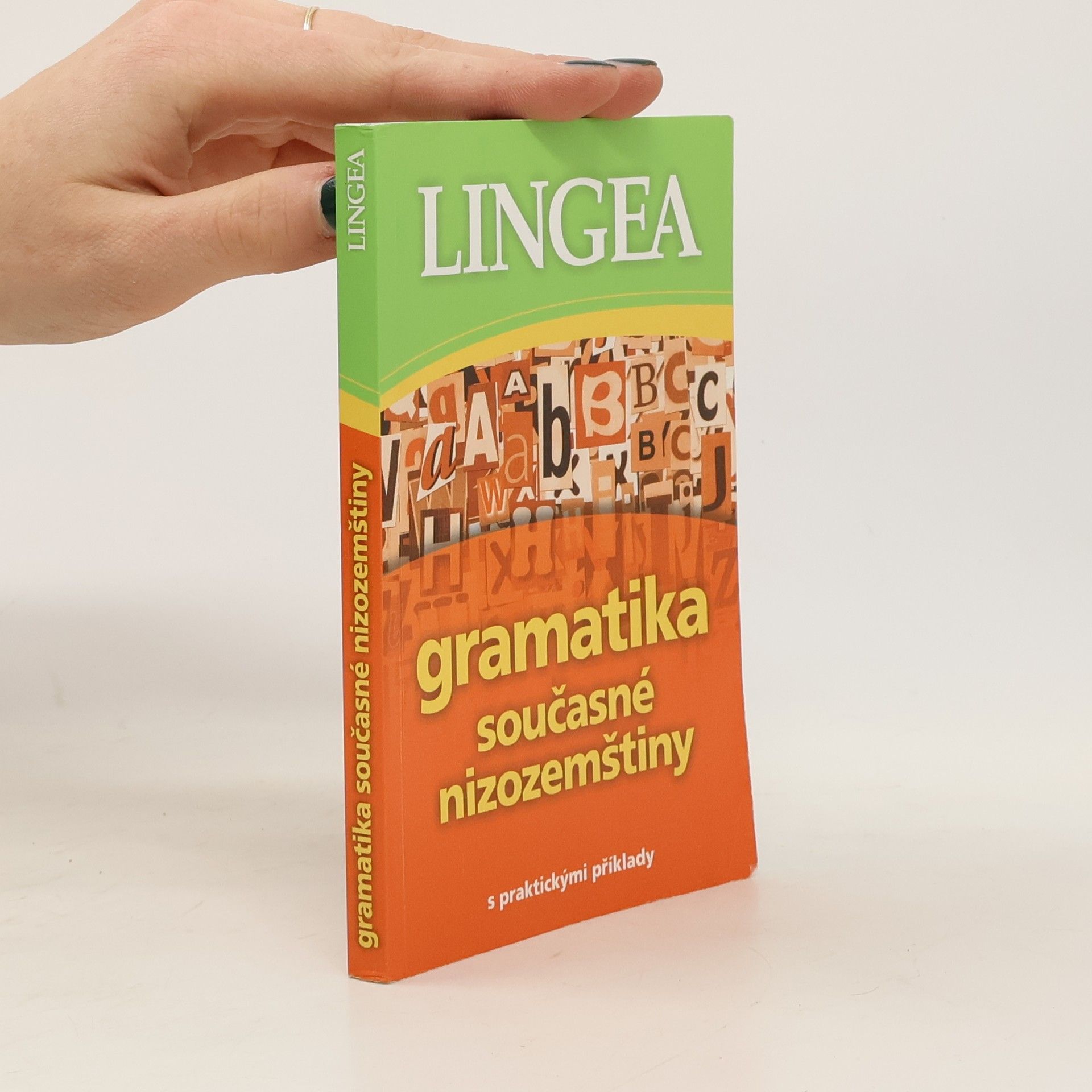 kolektiv Gramatika současné nizozemštiny