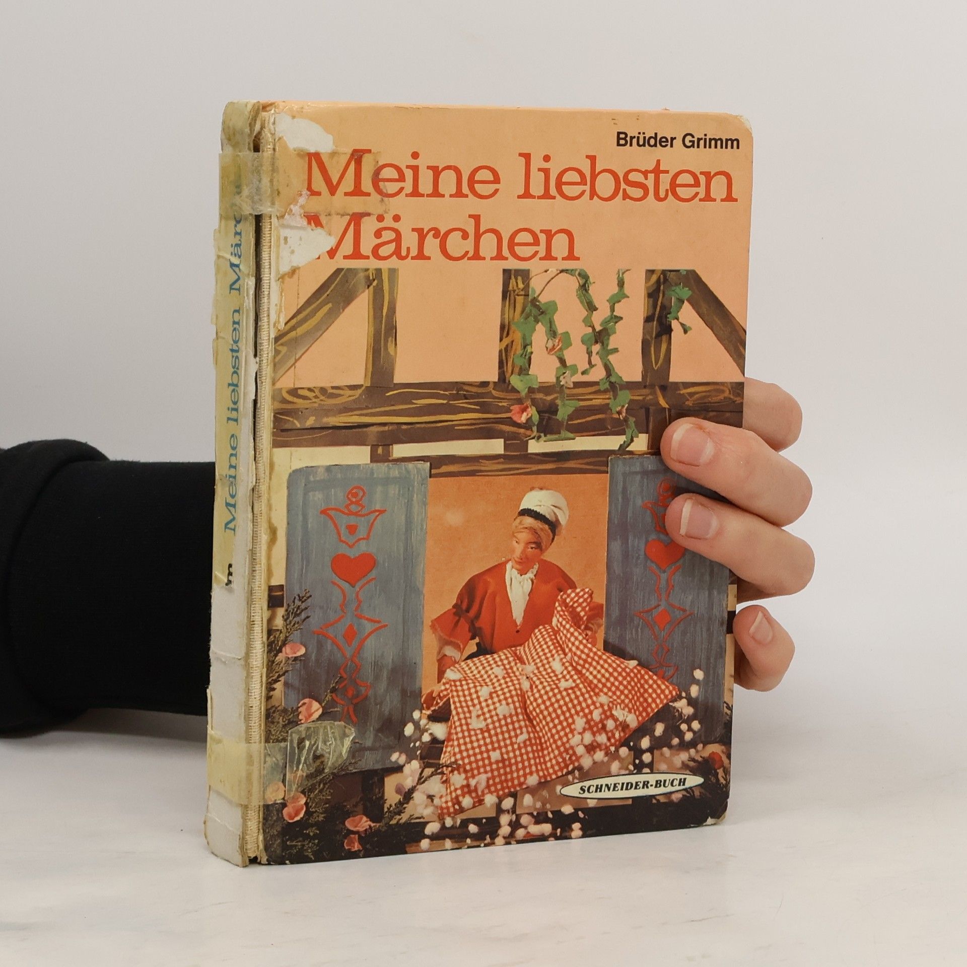 bratři Grimmové Meine liebsten Märchen