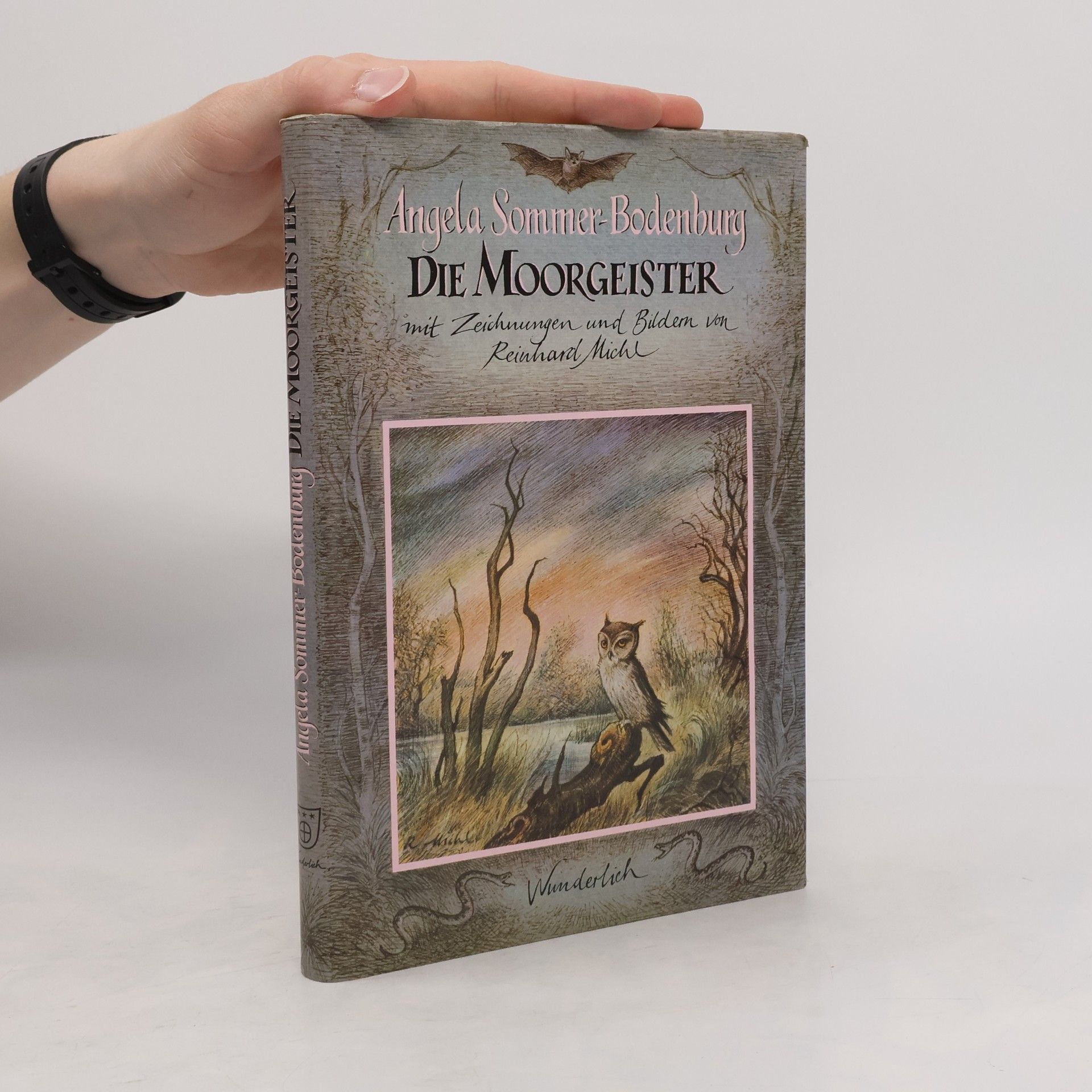 Angela Sommer Bodenburg Die Moorgeister