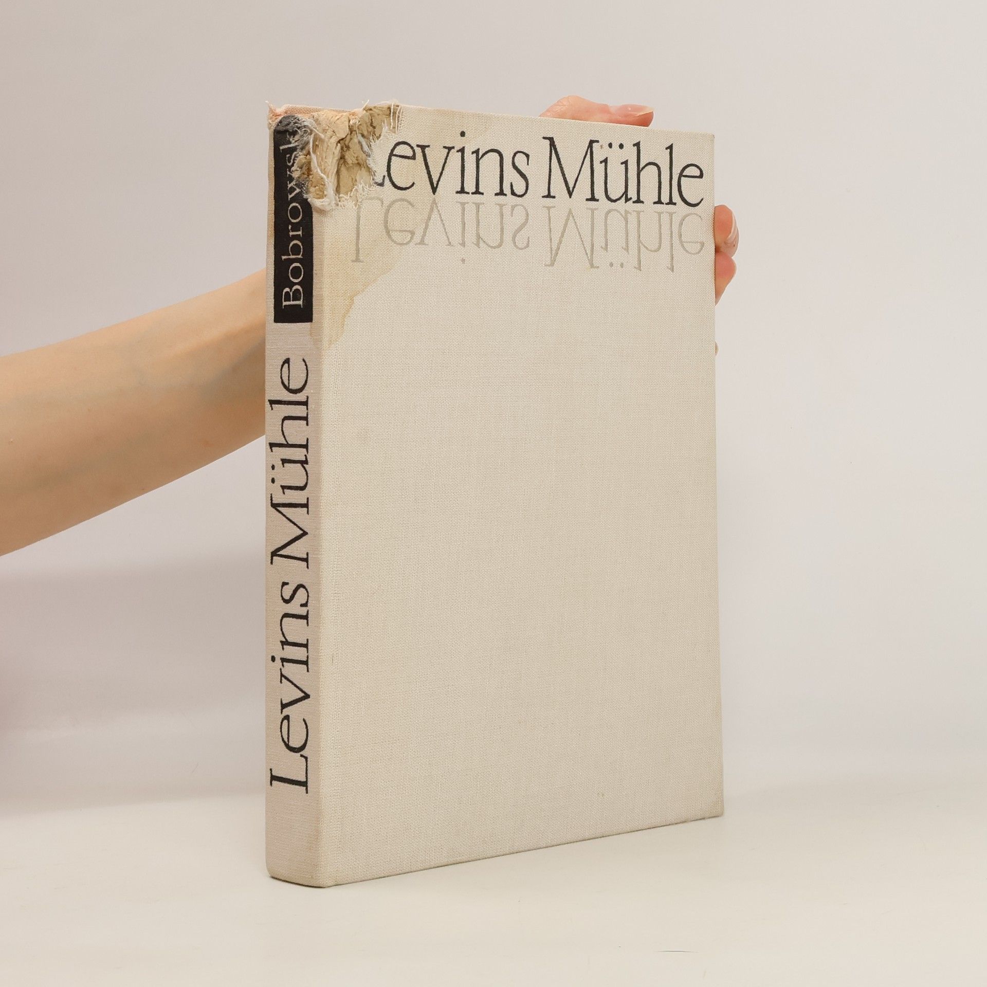 Johannes Bobrowski Levins Mühle