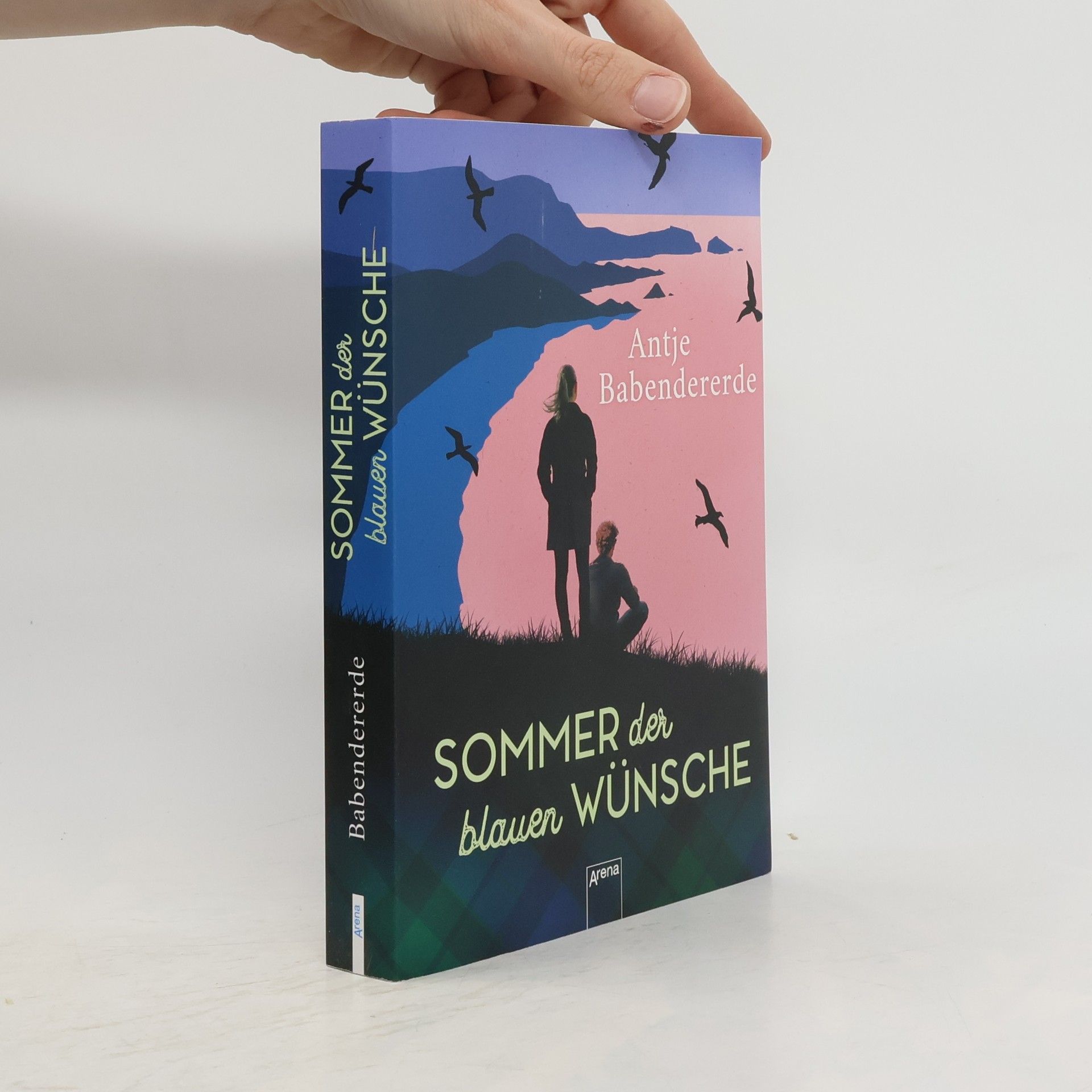Antje Babendererde Sommer der blauen Wünsche