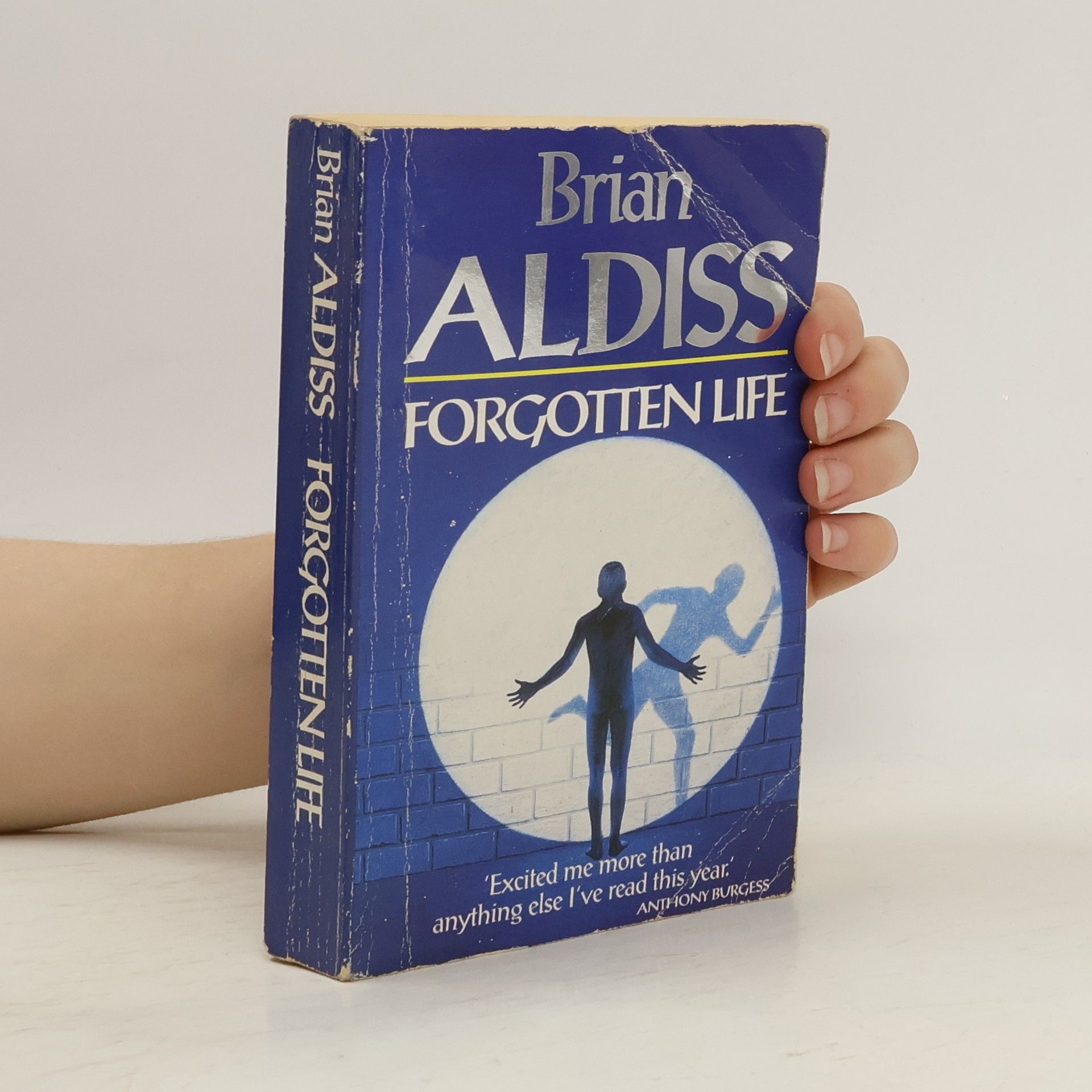 Brian Wilson Aldiss Forgotten Life
