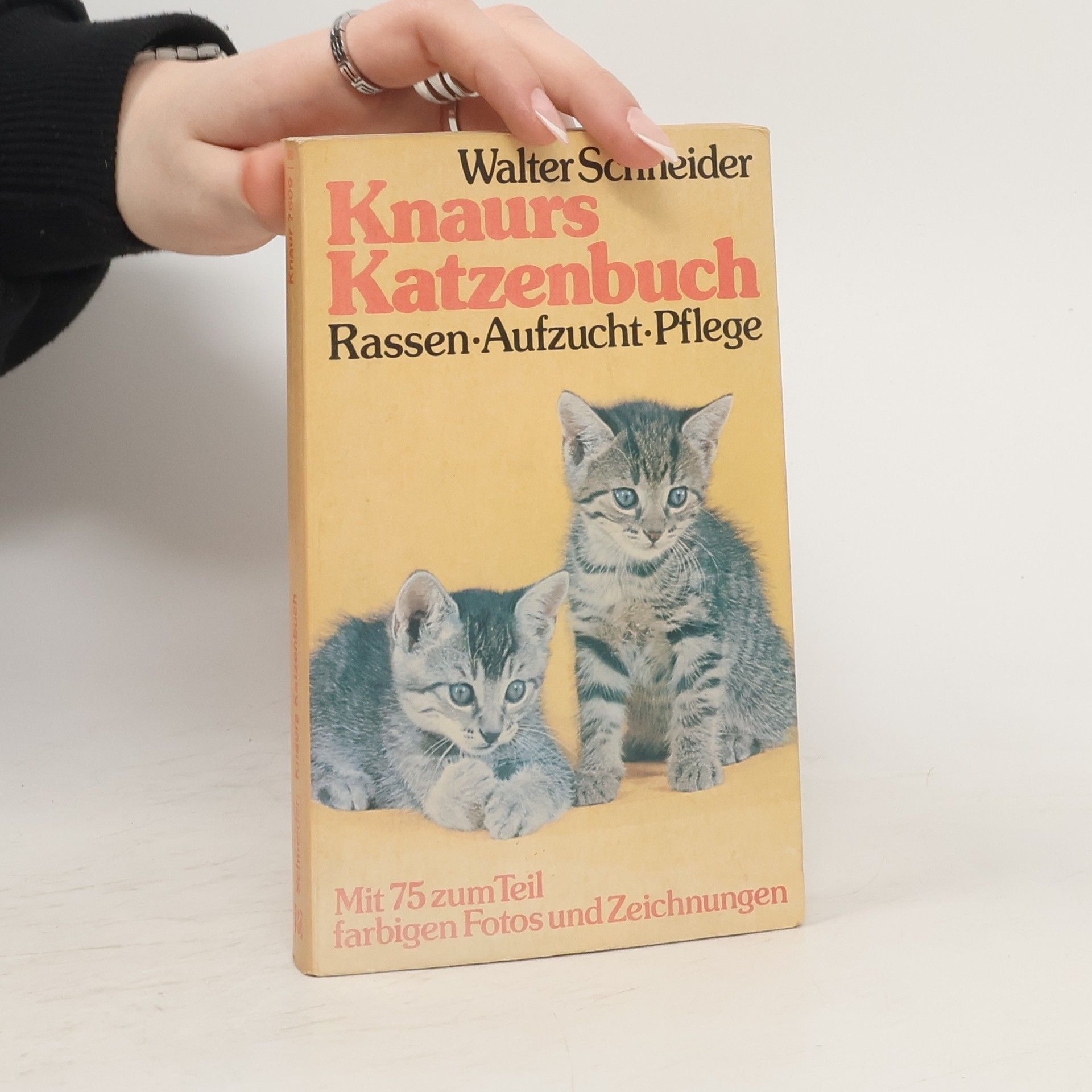 Margret Walter-Schneider Knaurs Katzenbuch