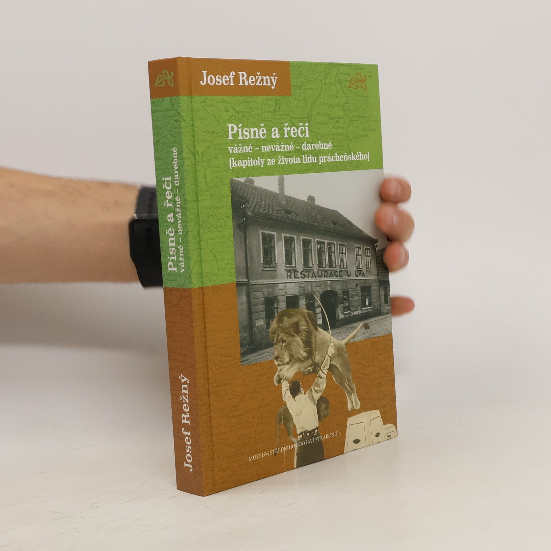 Josef Režný Písně a řeči vážné - nevážné - darebné : (kapitoly ze života lidu prácheňského)