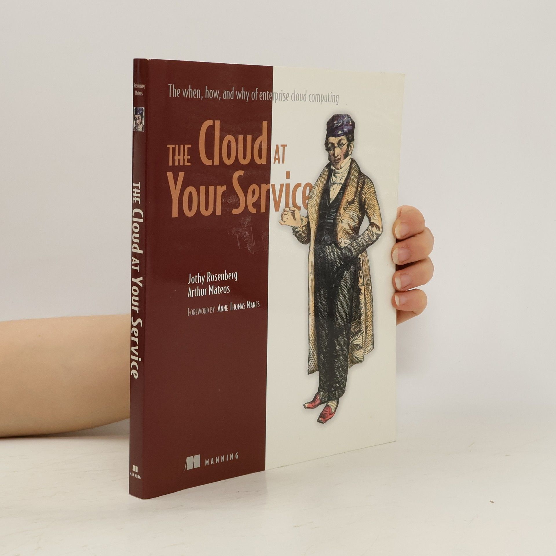 Jonathan B. Rosenberg The Cloud at Your Service