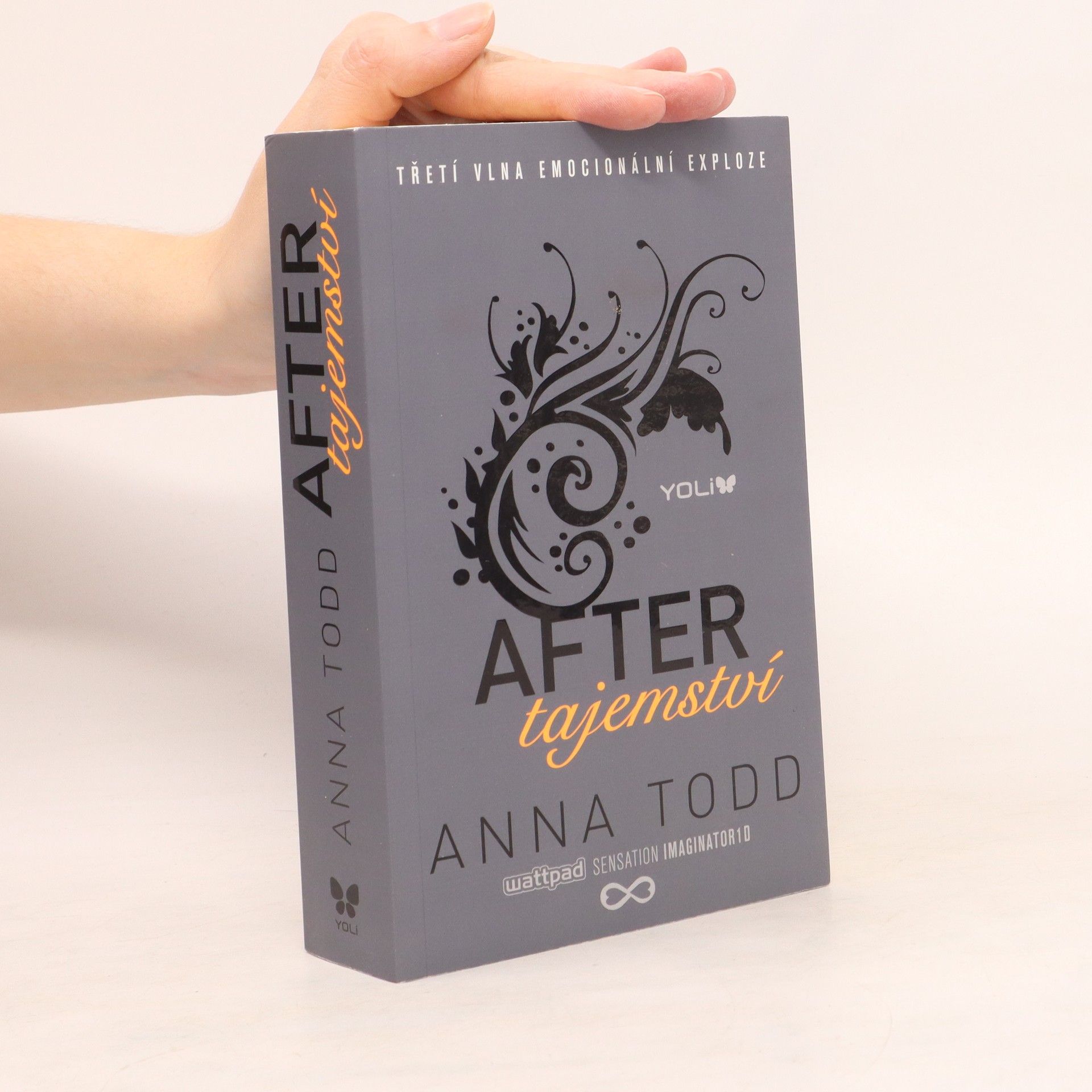 Anna Todd After. Tajemství