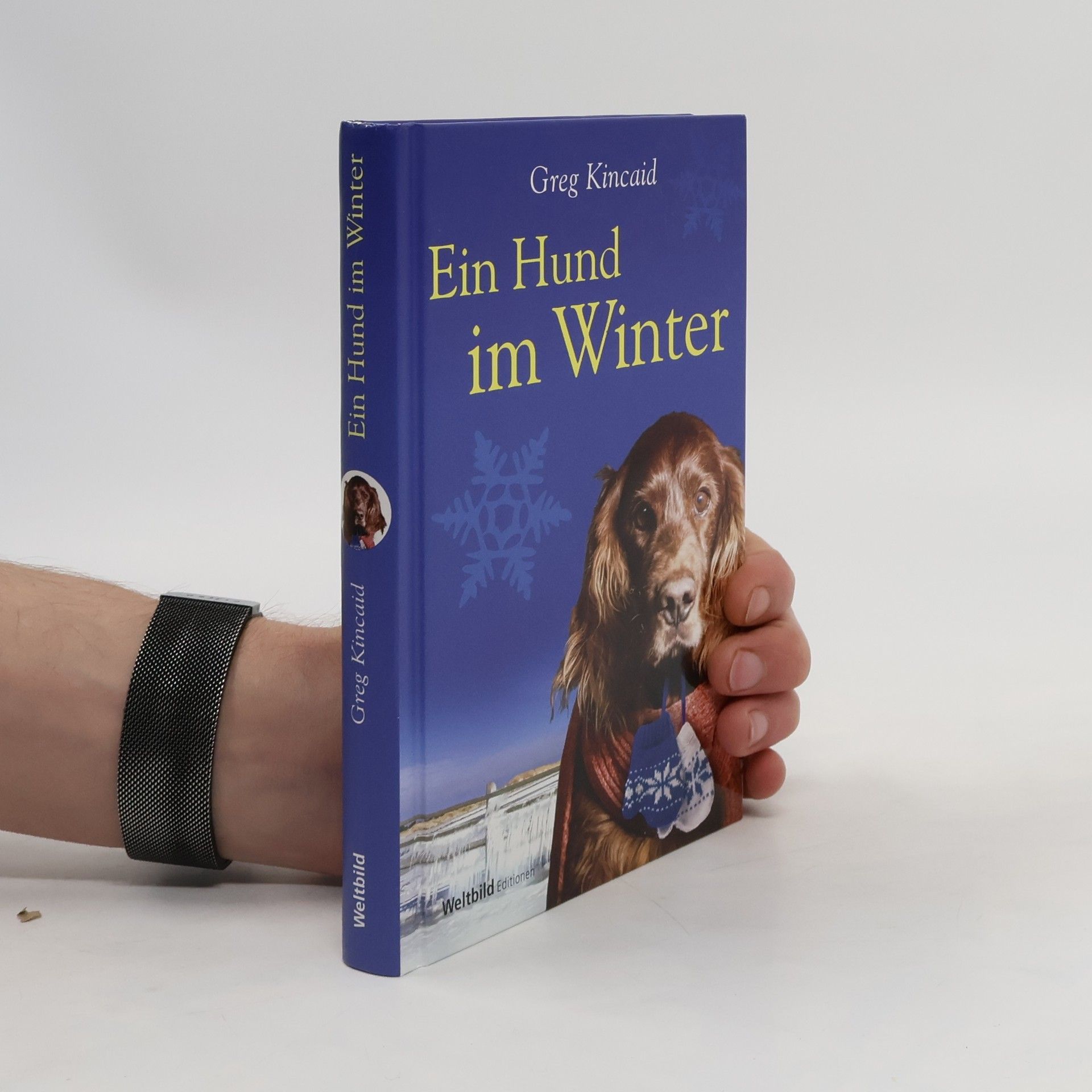 Greg Kincaid Ein Hund im Winter