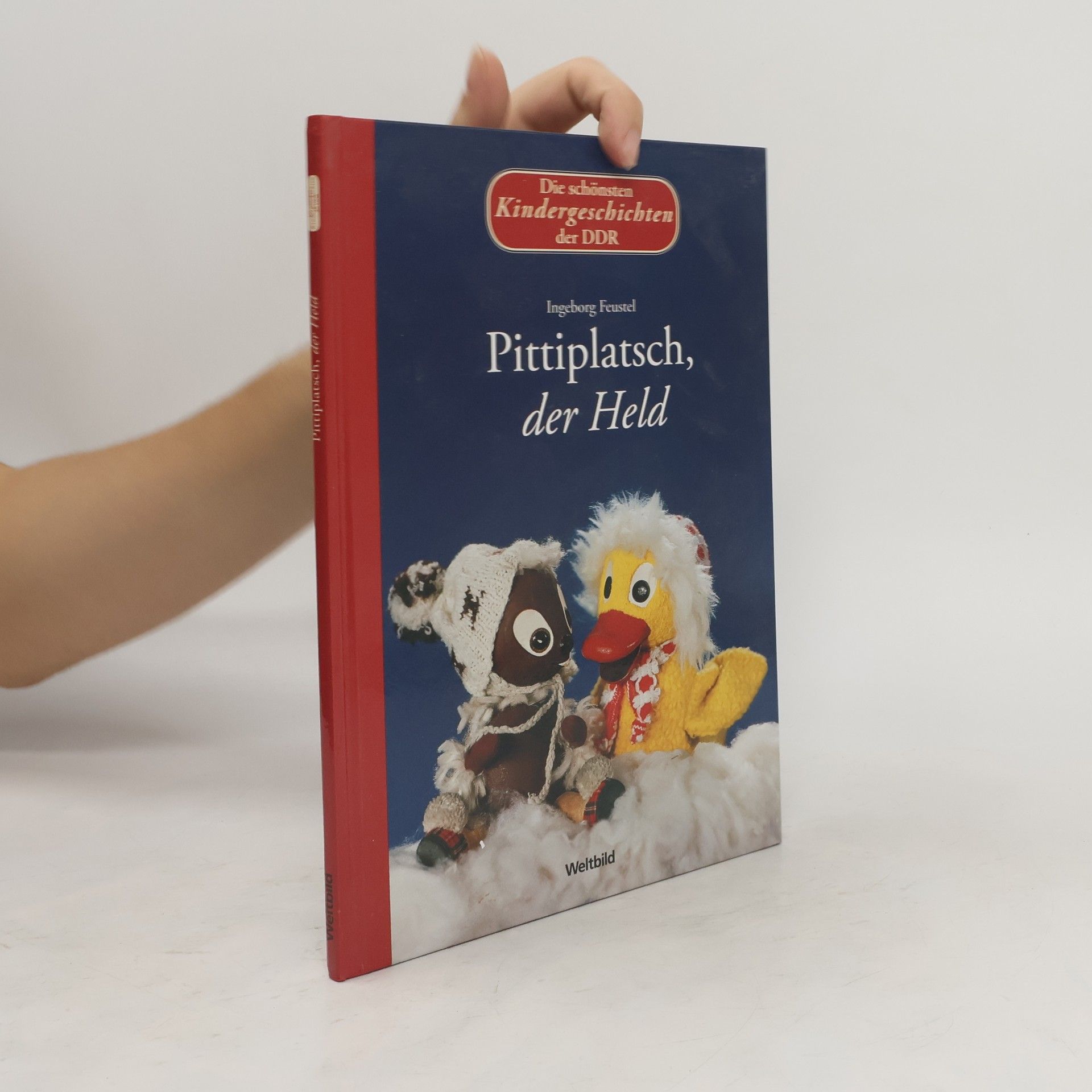 Autorenkollektiv Pittiplatsch, der Held