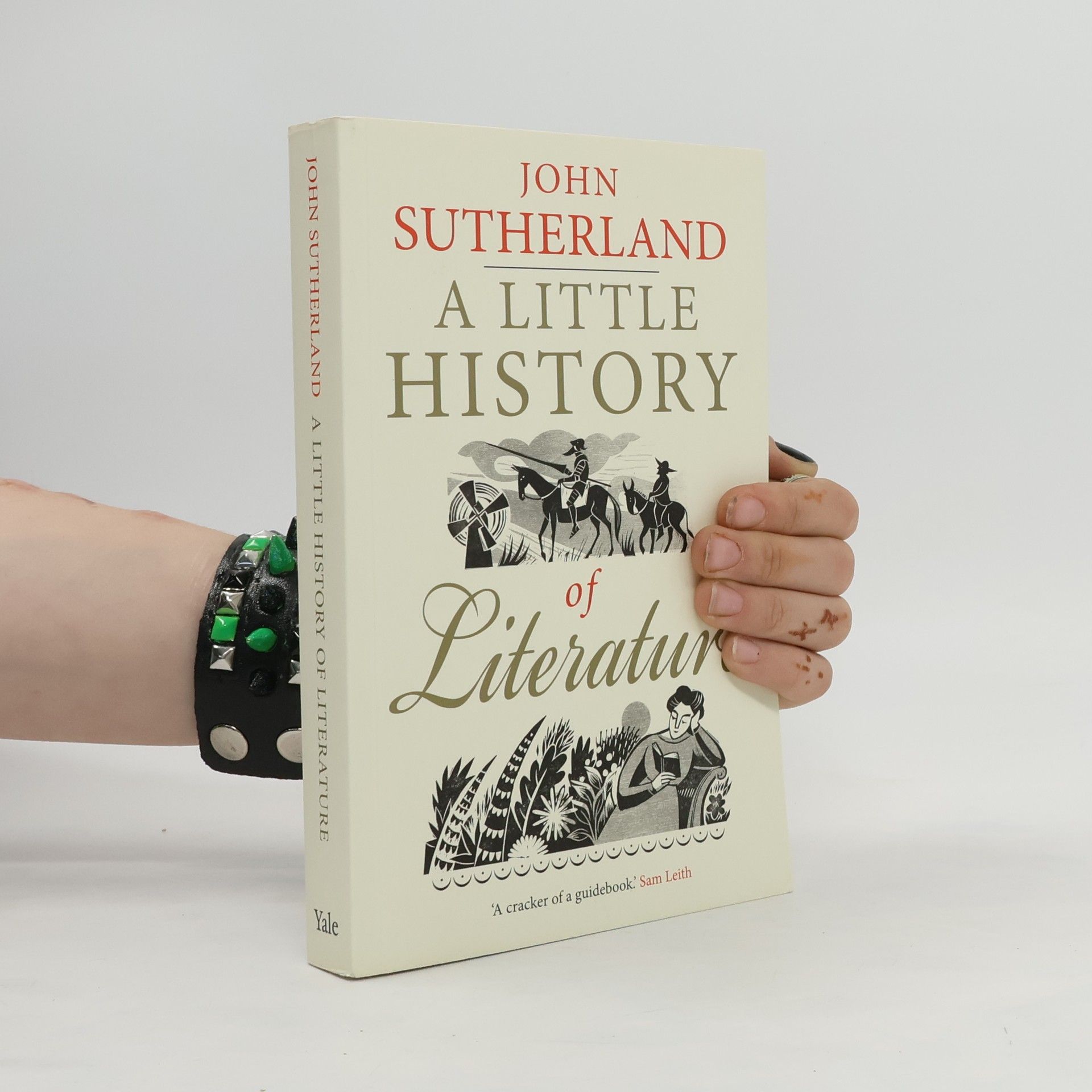 John Sutherland A Little History of Literature