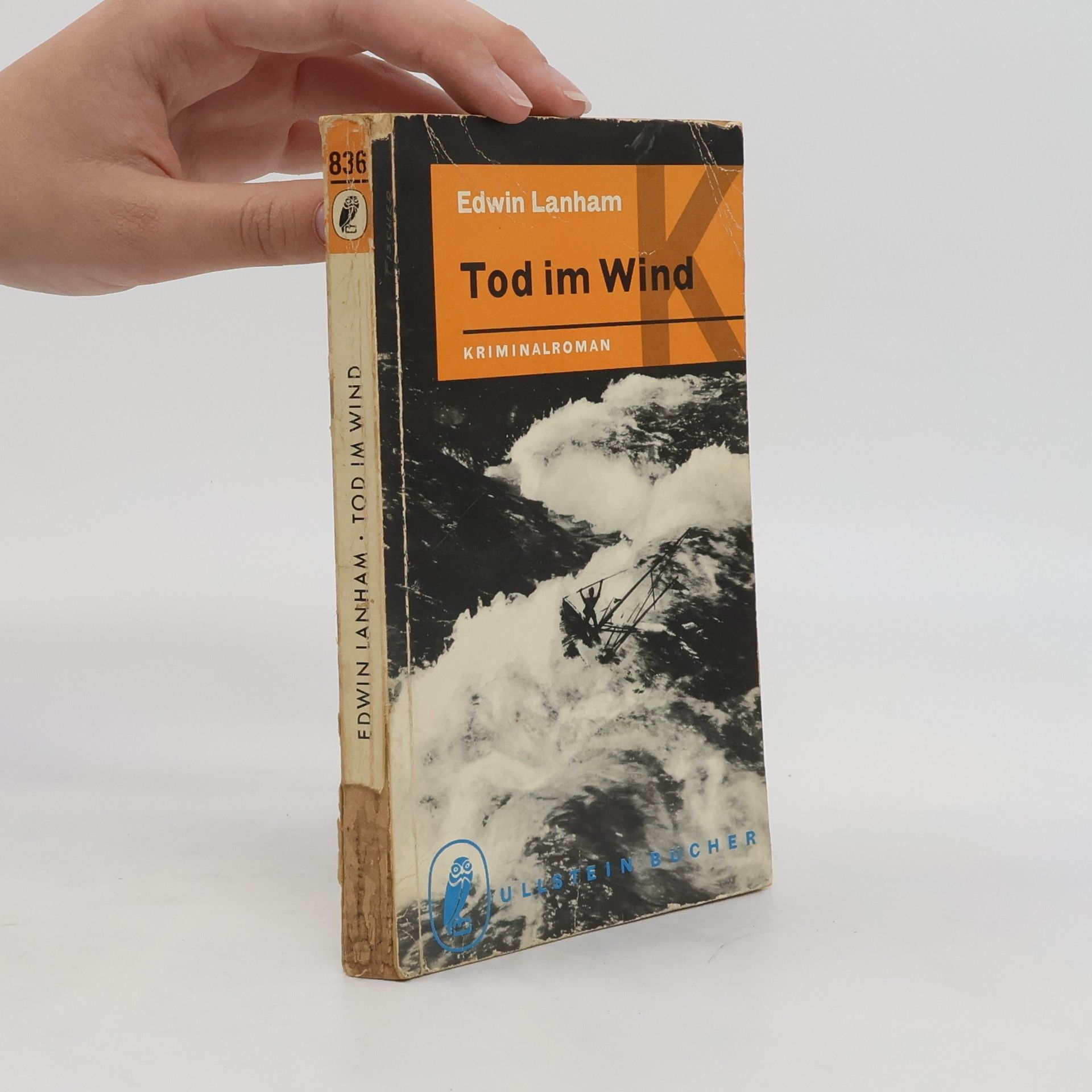 Edwin Lanham Tod im Wind