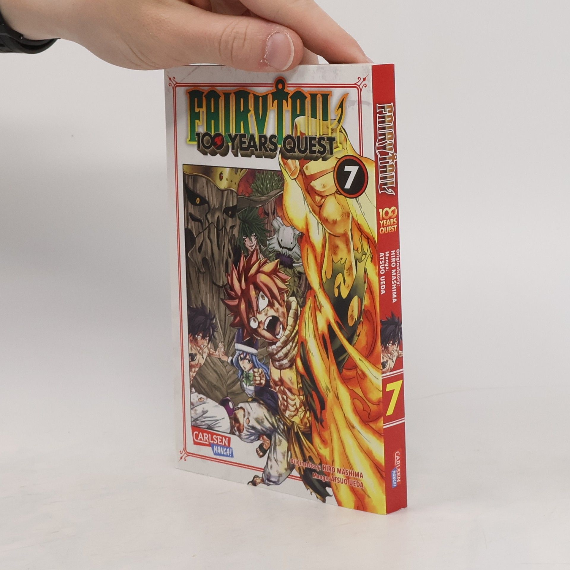 Hiro M. Fairy Tail - 100 Years Quest 7