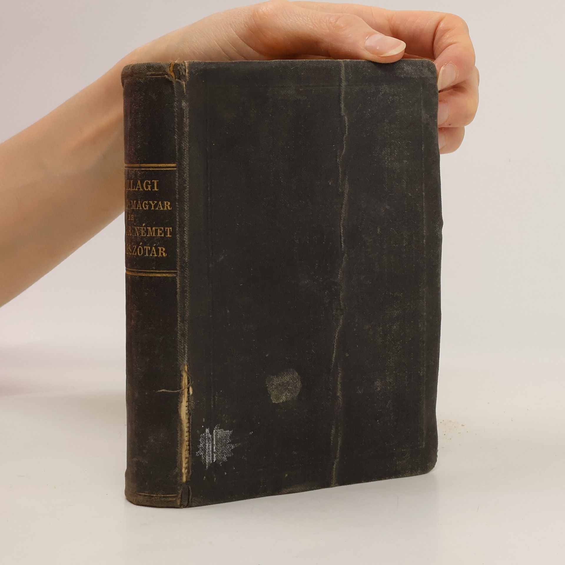 Moritz Ballagi Schul-und Reise-Taschen-Wörterbuch