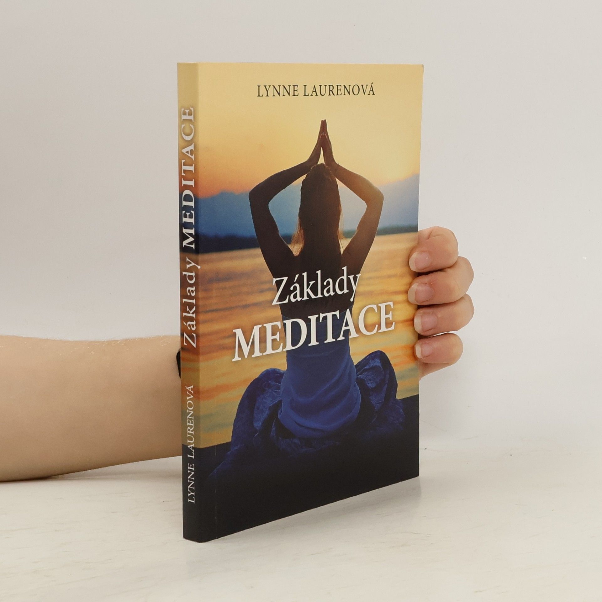 Lynne Lauren Základy meditace