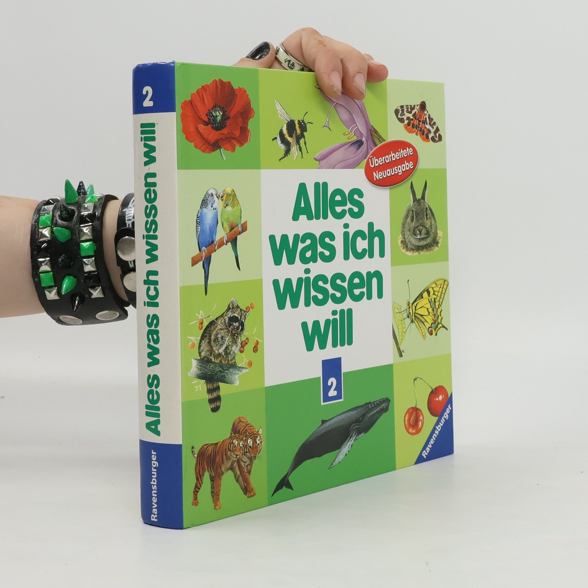 kolektiv Alles was ich wissen will 2