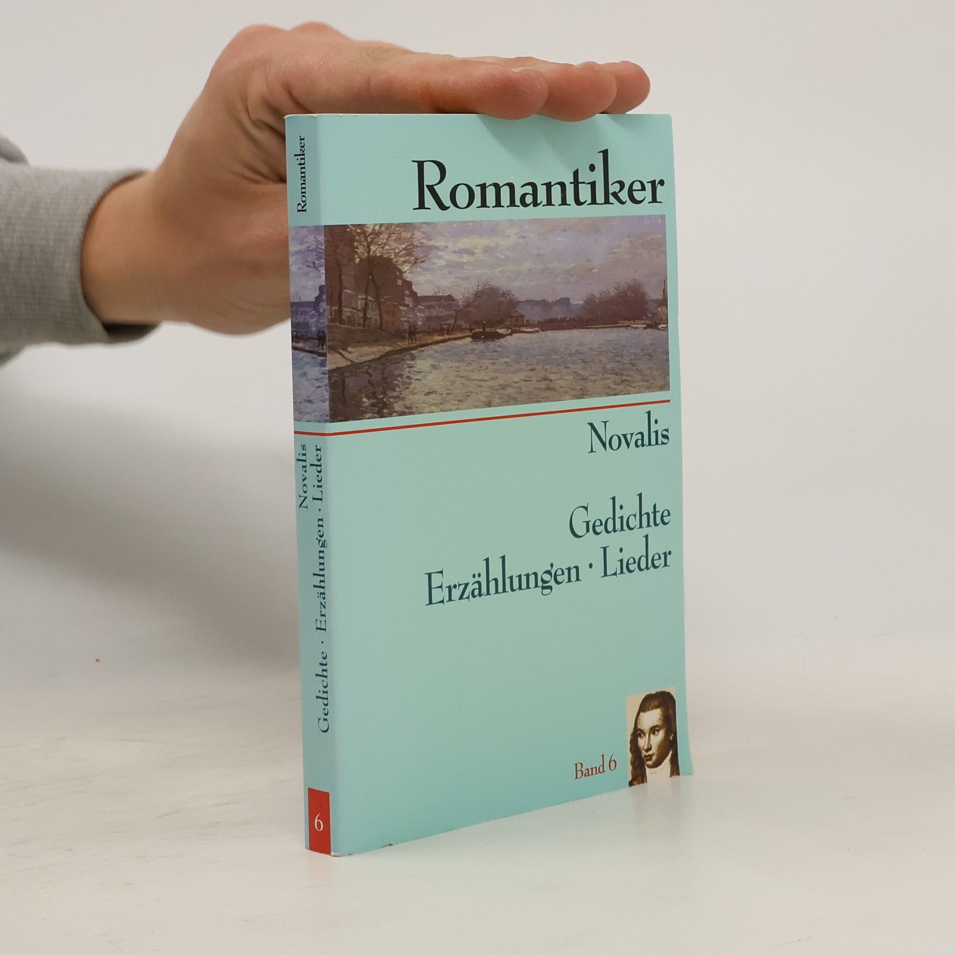 Auteurscollectief Romantiker 6. Novalis. Gedichte. Erzählungen. Lieder