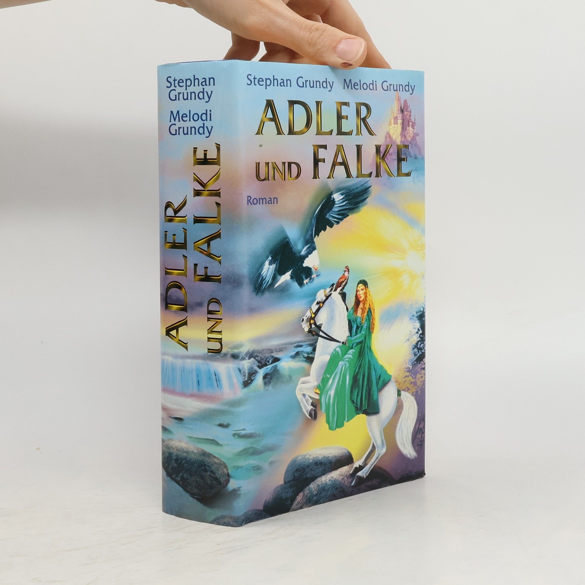 Stephan Grundy Adler und Falke