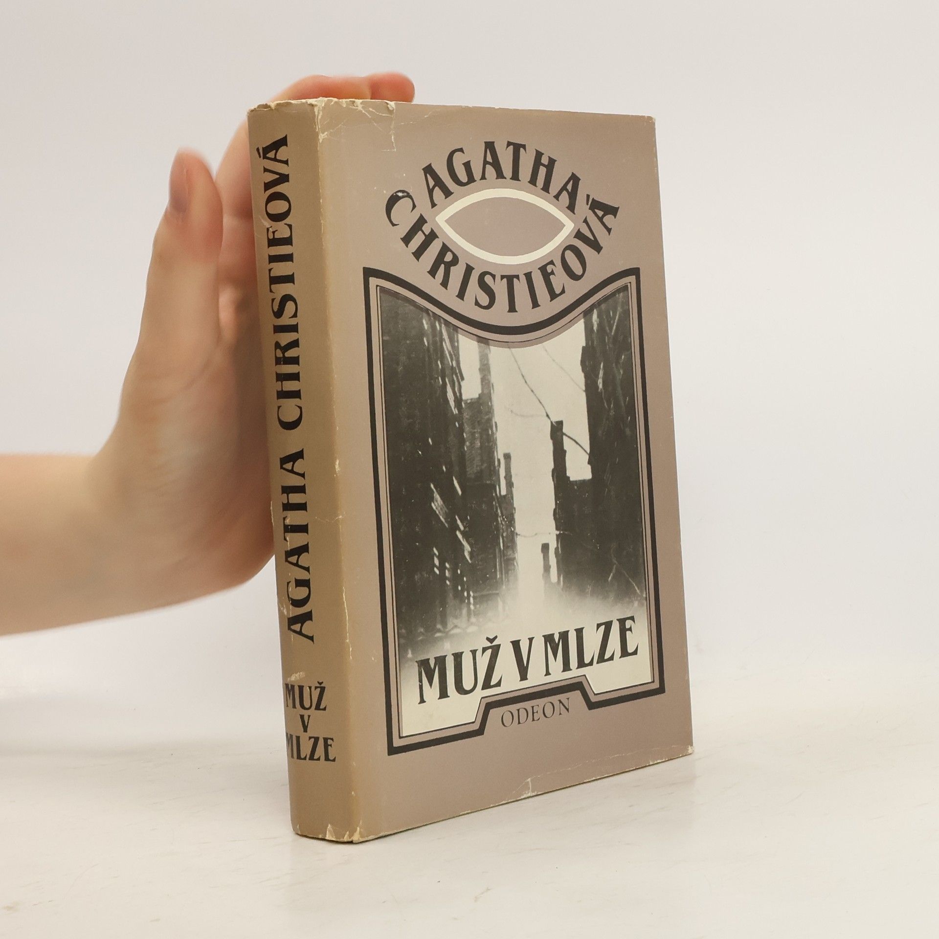 Agatha Christie Muž v mlze