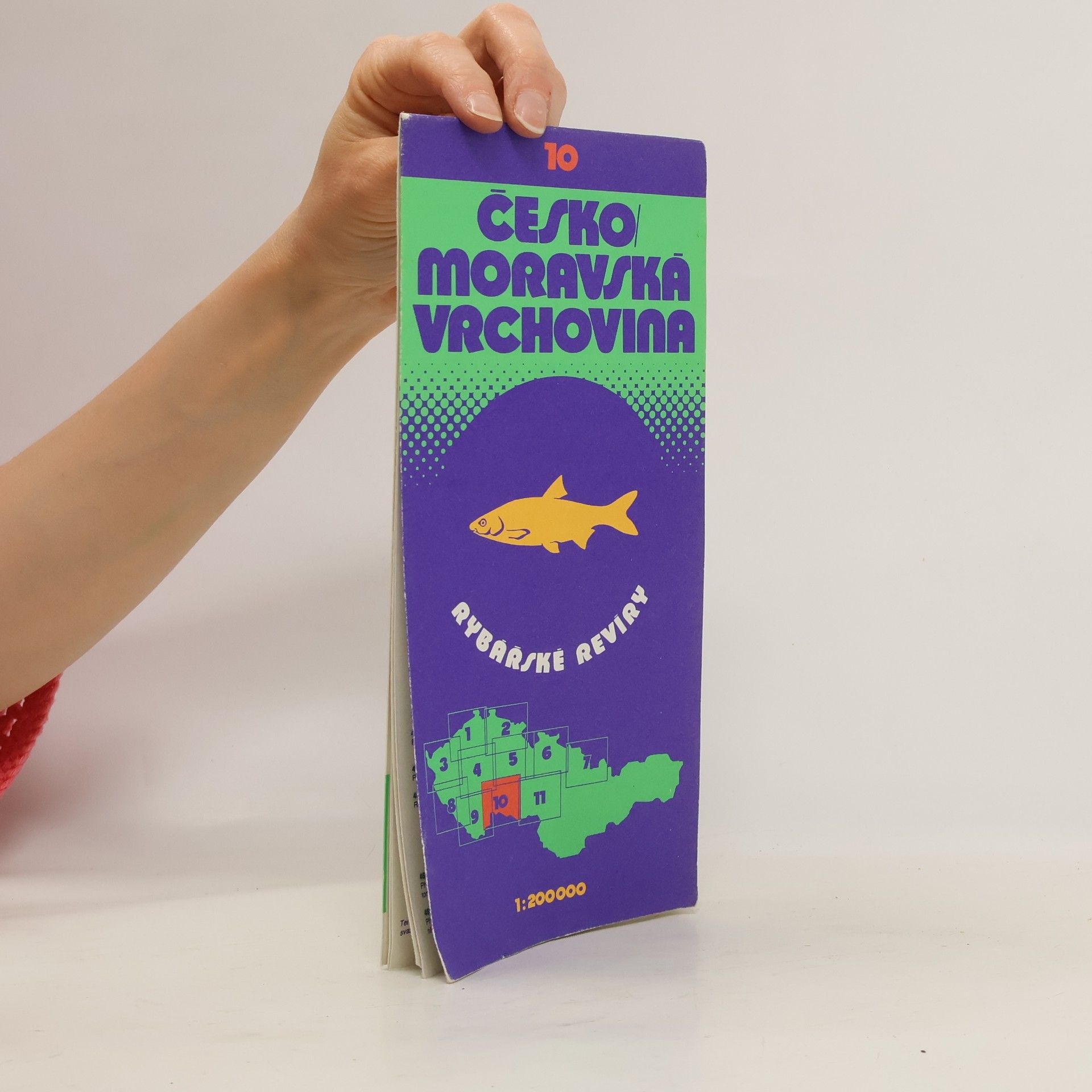 Autorenkollektiv Českomoravská vrchovina. 10, Rybářské revíry