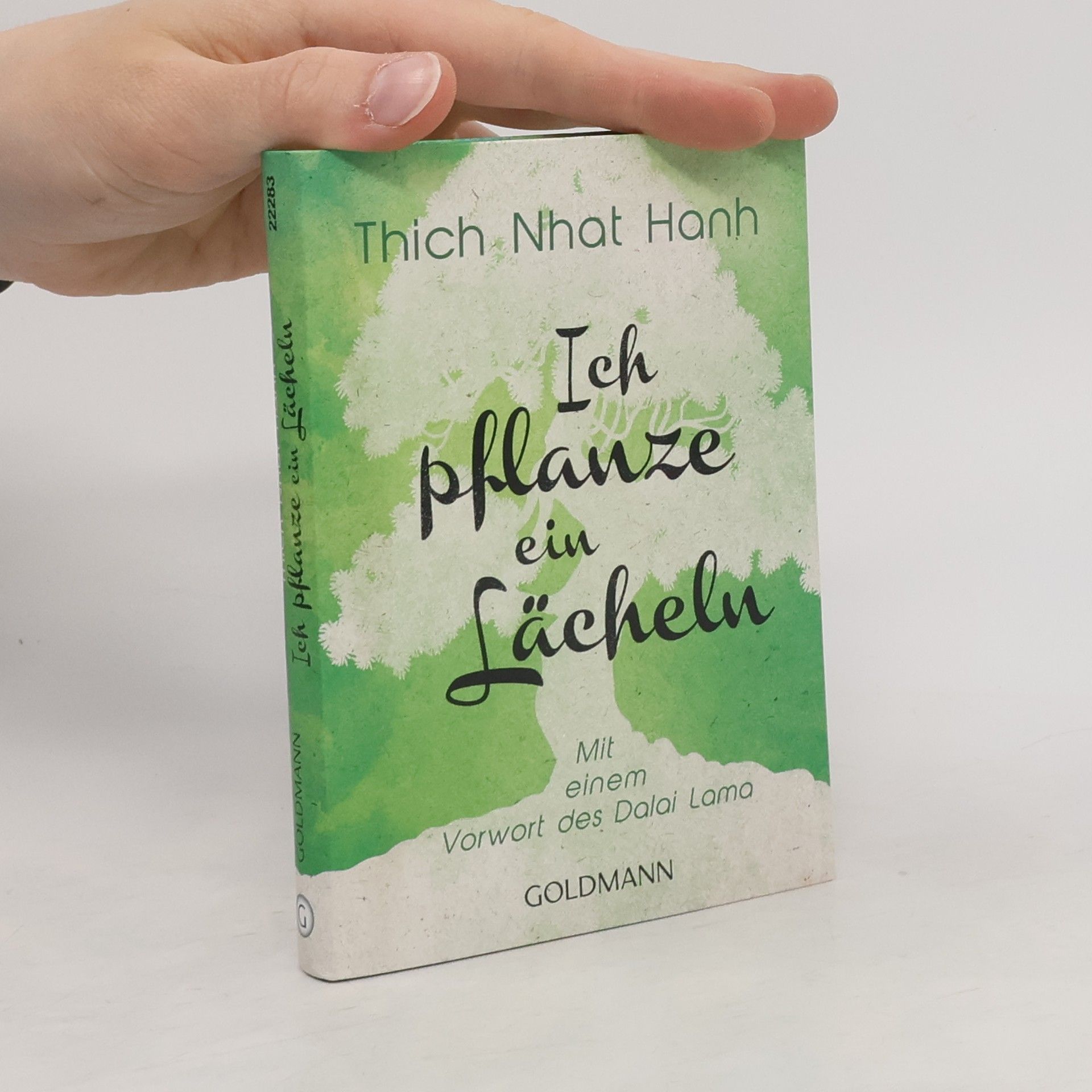 Nhat Thich Ich pflanze ein Lächeln