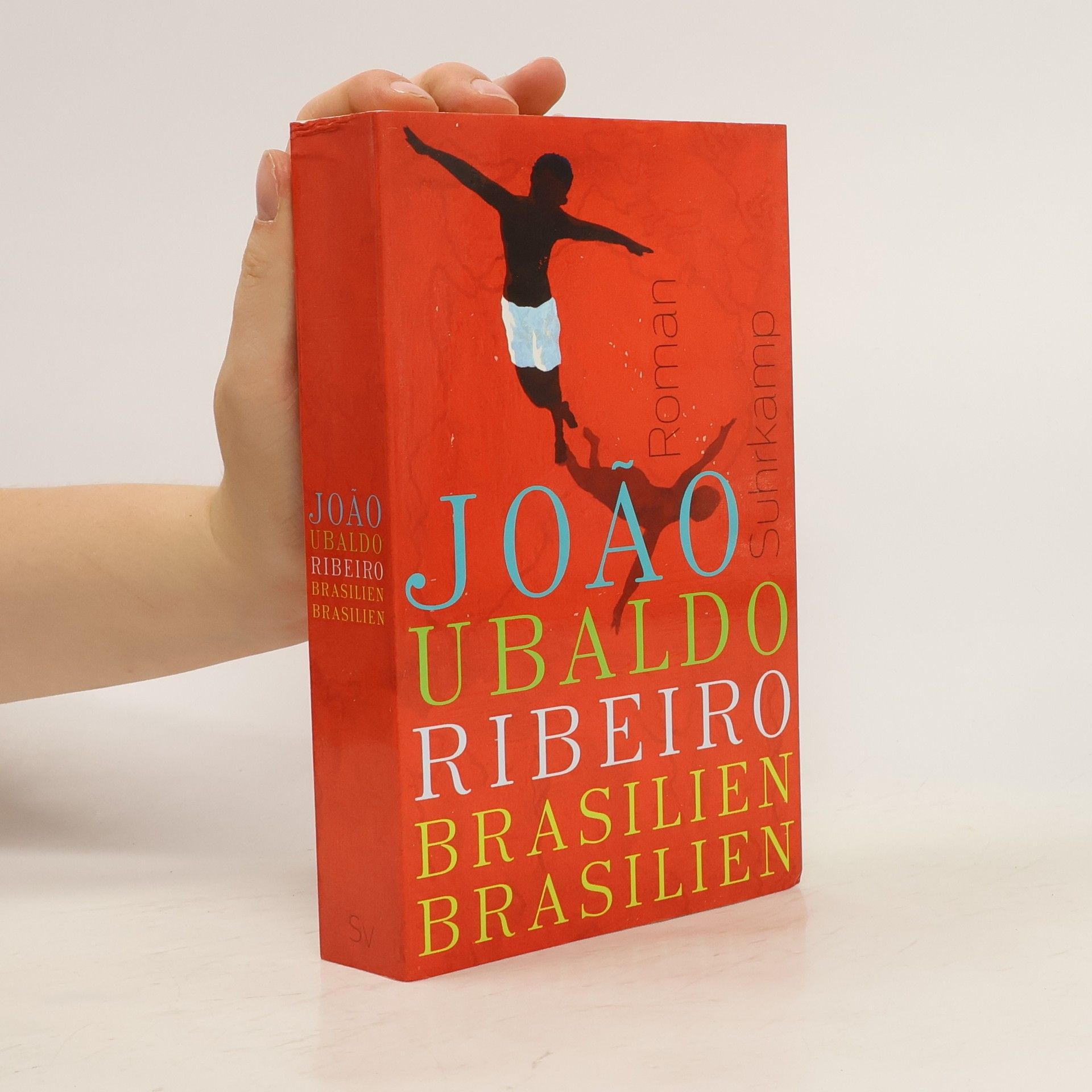 João Ubaldo Ribeiro Brasilien, Brasilien