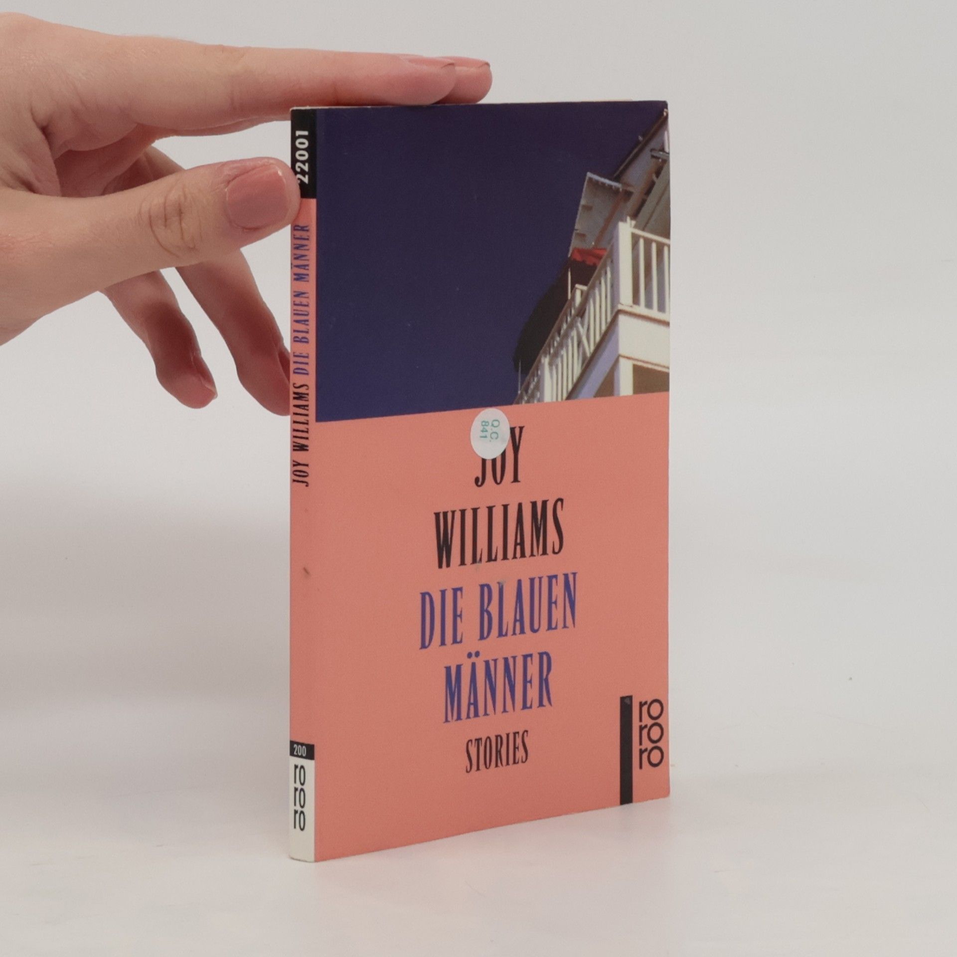 Joy Williams Die blauen Männer
