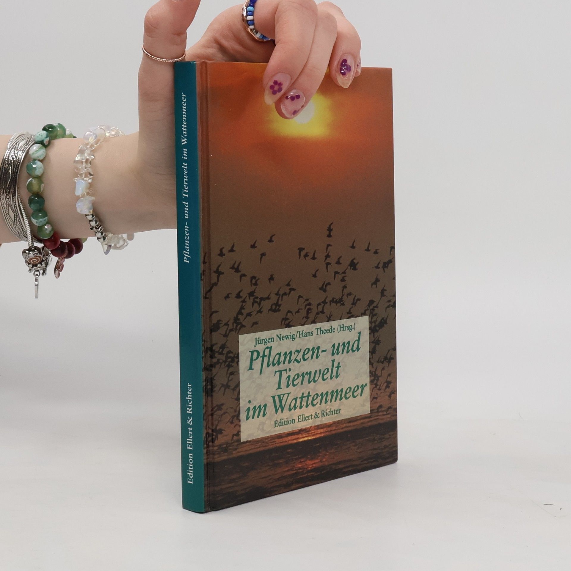 Jürgen Newig Pflanzen- und Tierwelt im Wattenmeer