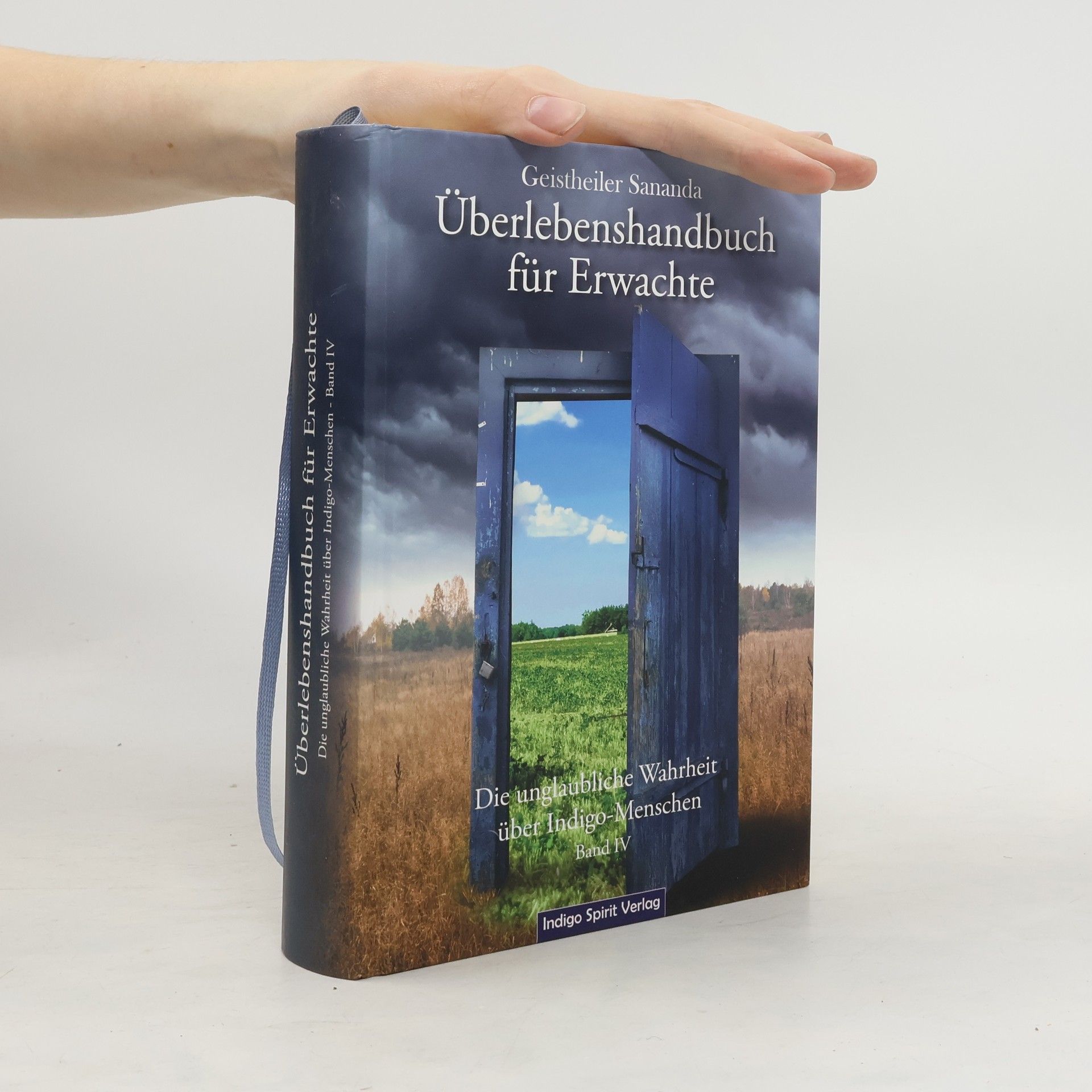 Oliver Michael Brecht Geistheiler Sananda: Überlebenshandbuch für Erwachte