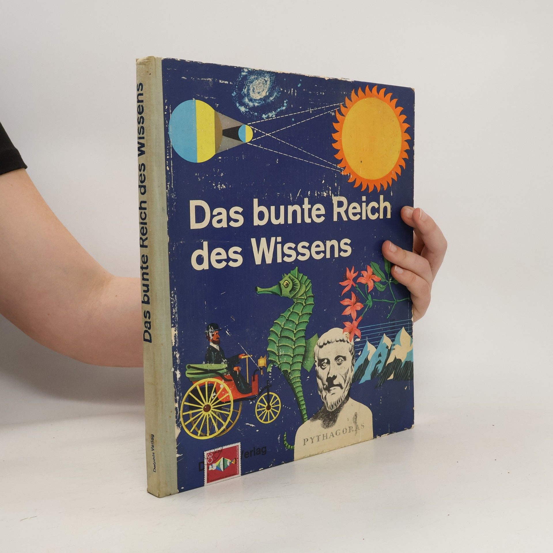 Bertha Morris Parker Das bunte Reich des Wissens