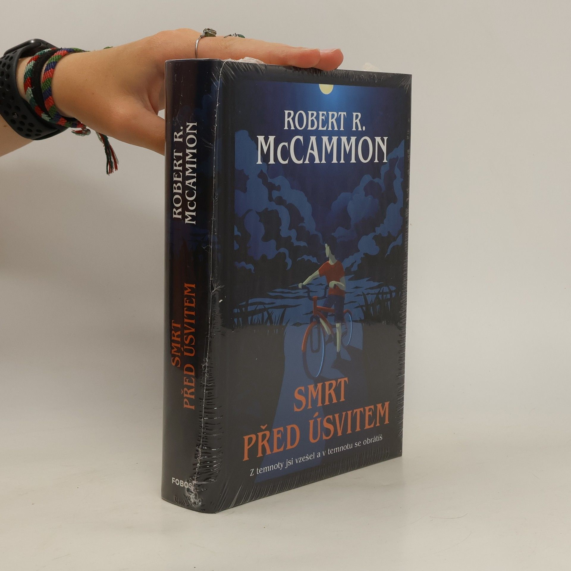 Robert McCammon Smrt před úsvitem