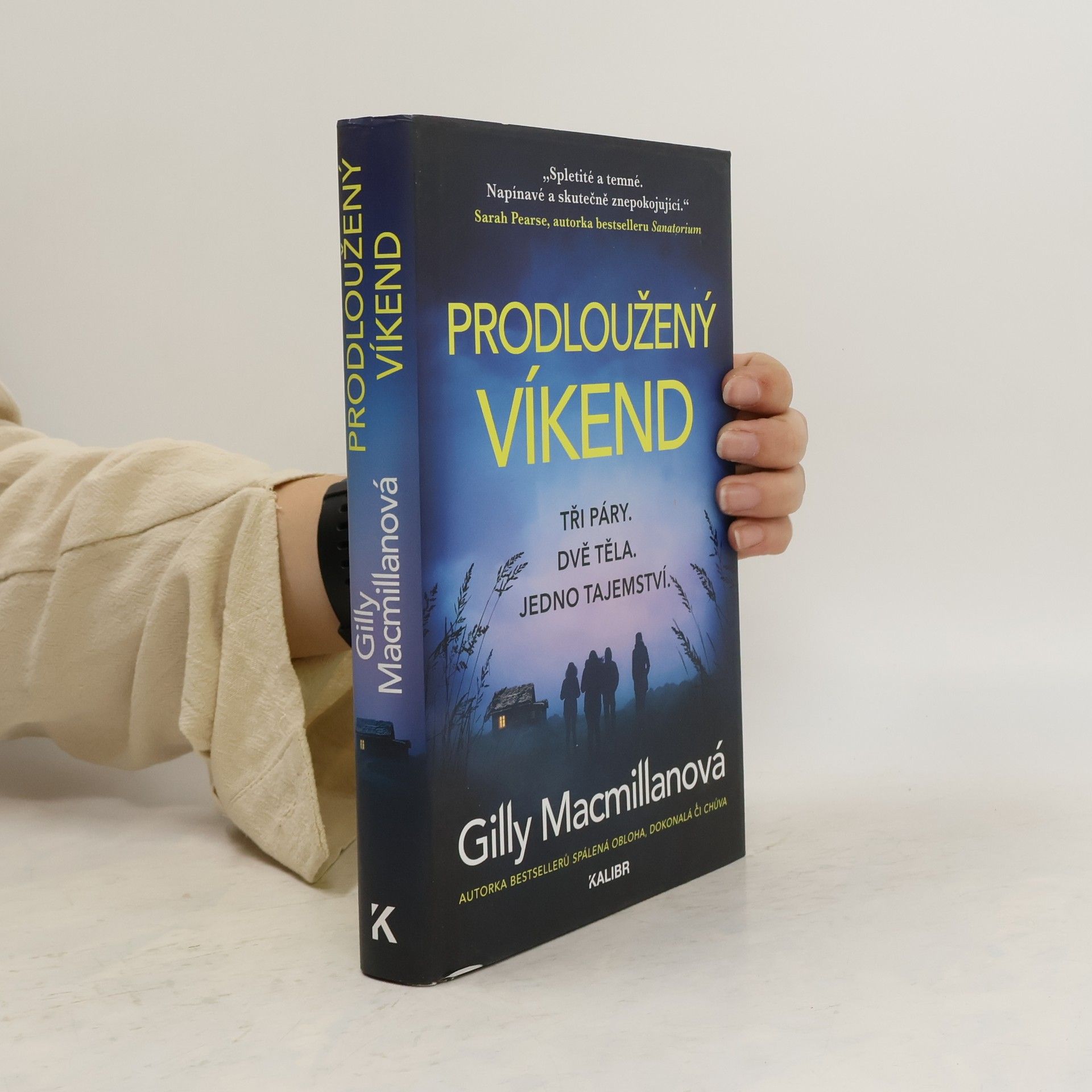 Gilly Macmillan Prodloužený víkend