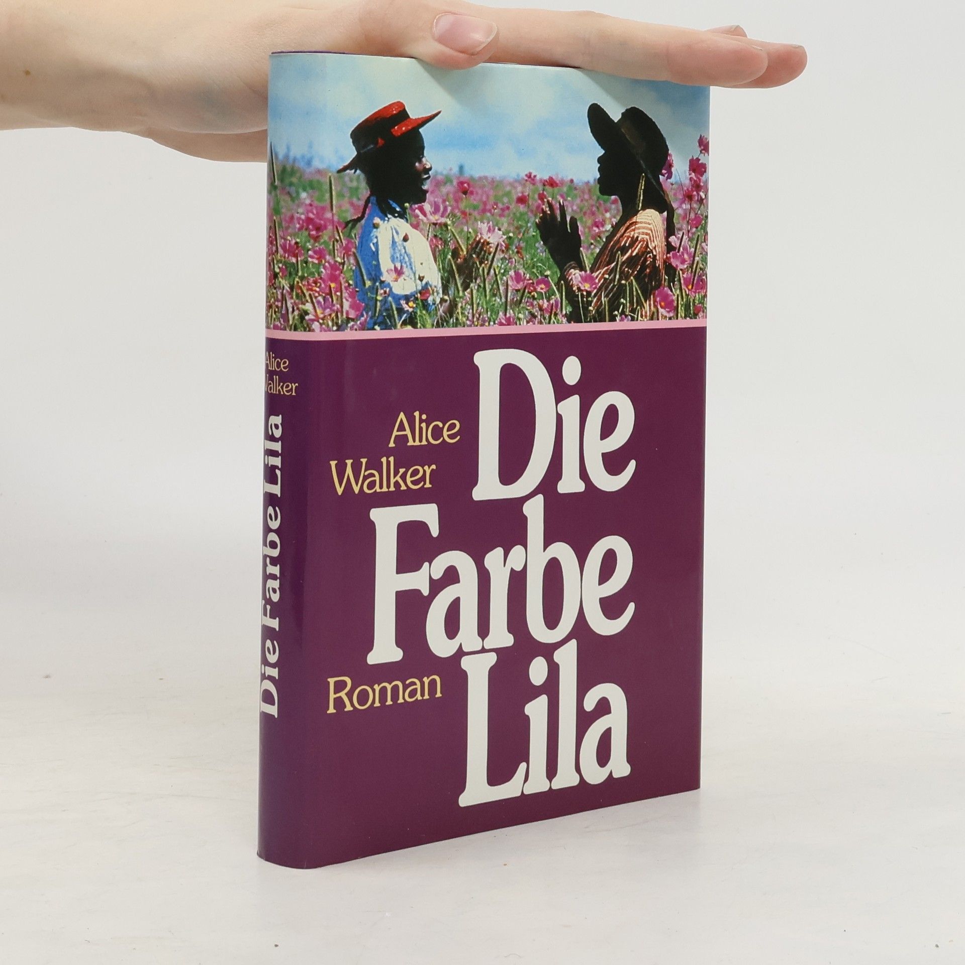 Alice Walker Die Farbe Lila