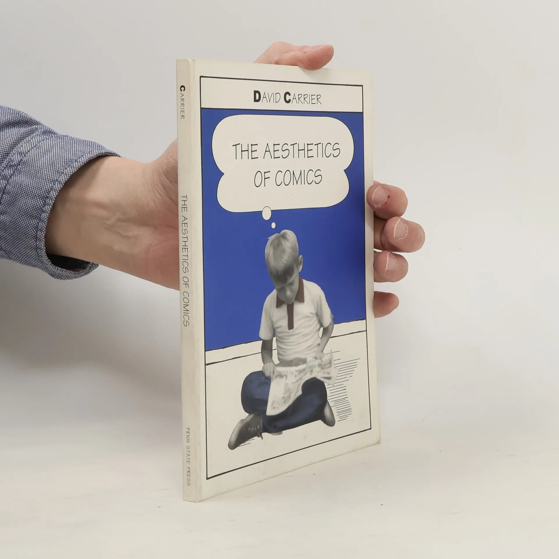 The Aesthetics of Comics | Book | Paperback | David Carrier | EN