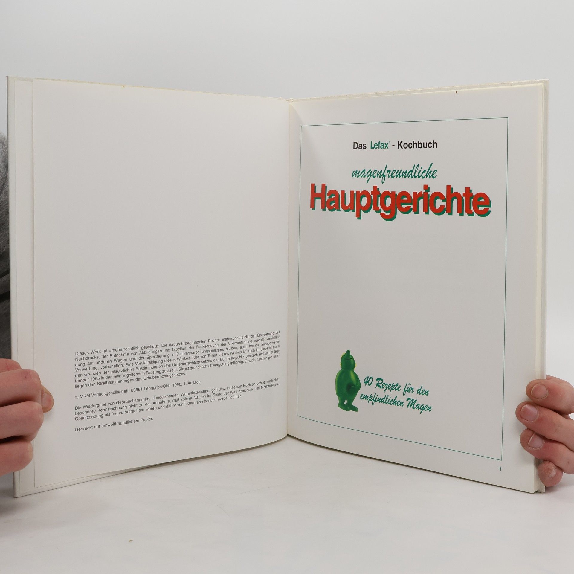 Autorenkollektiv Magenfreundliche Hauptgerichte