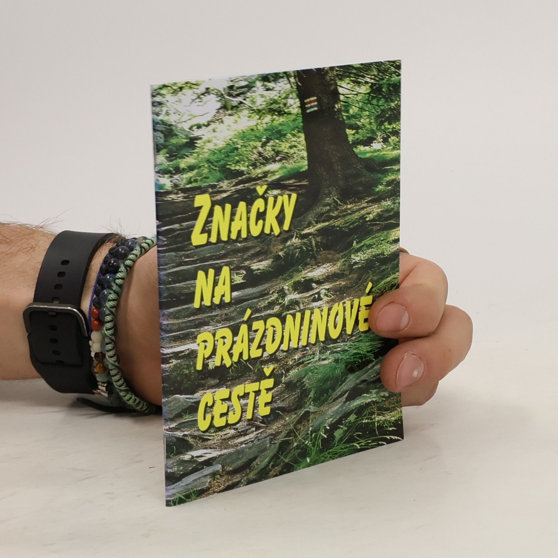 kolektiv Průvodce kněžské modlitby a služby