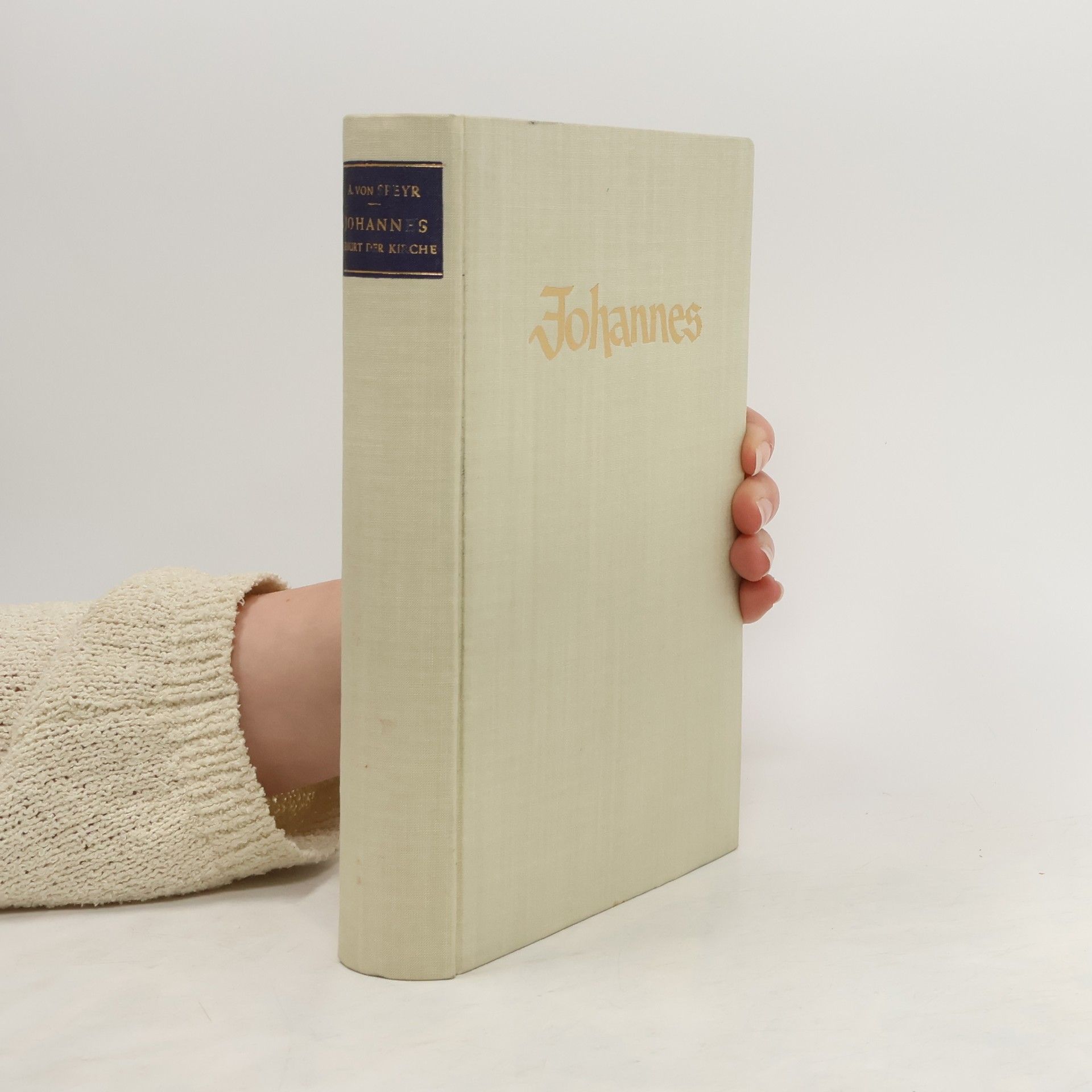 A. von Speyr Johannes Geburt der Kirche