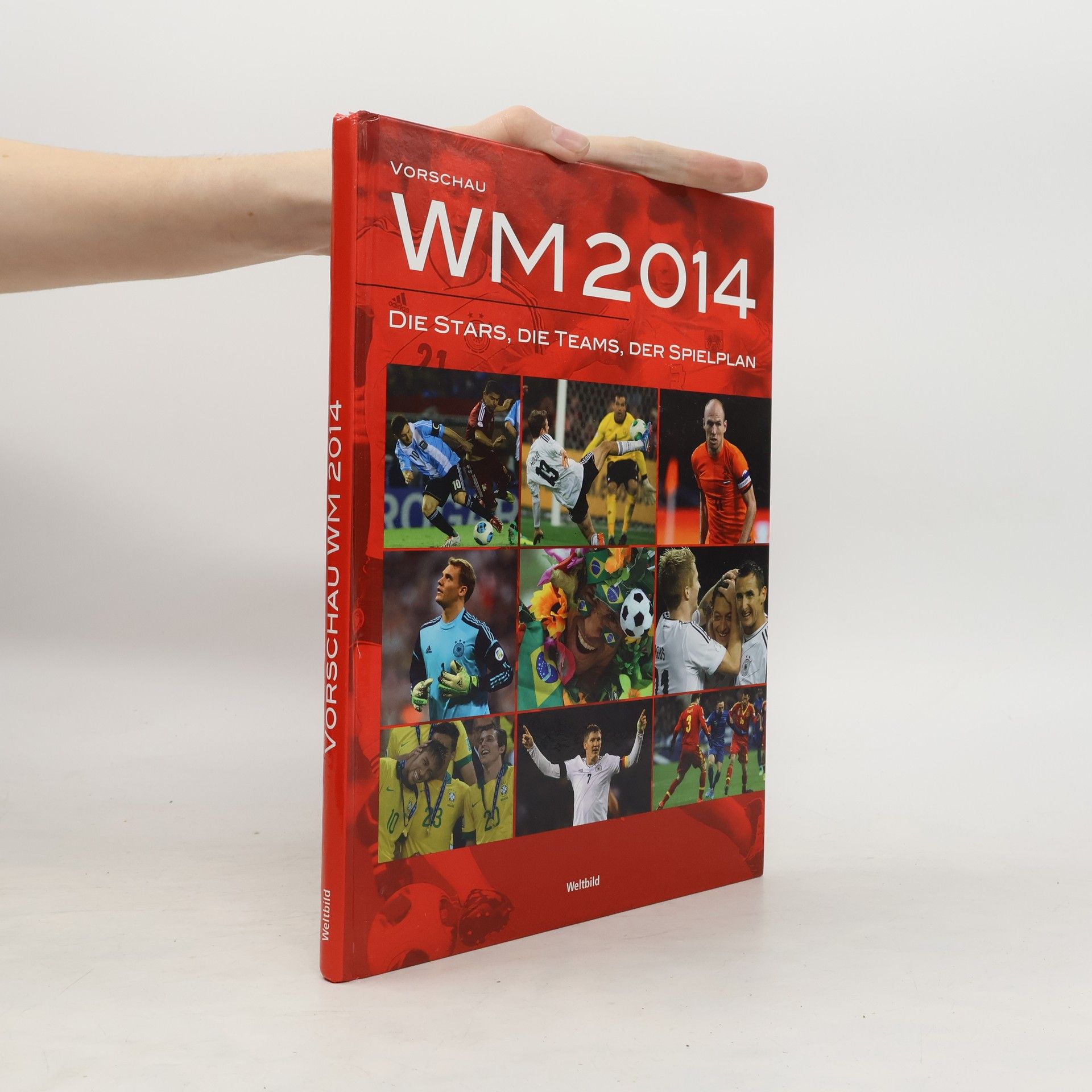 Ulrich Kühne-Hellmessen Vorschau WM 2014