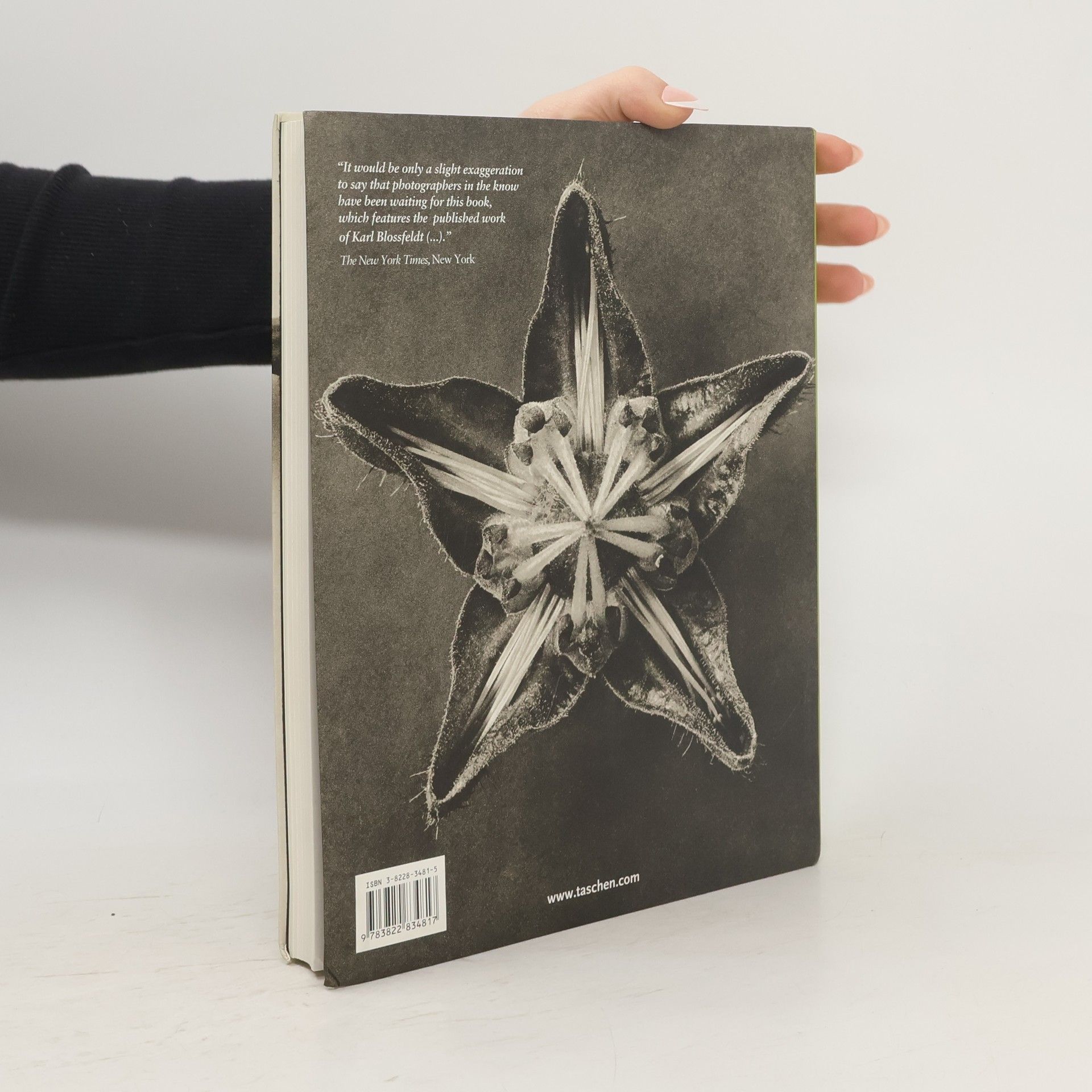 Karl Blossfeldt Karl Blossfeldt