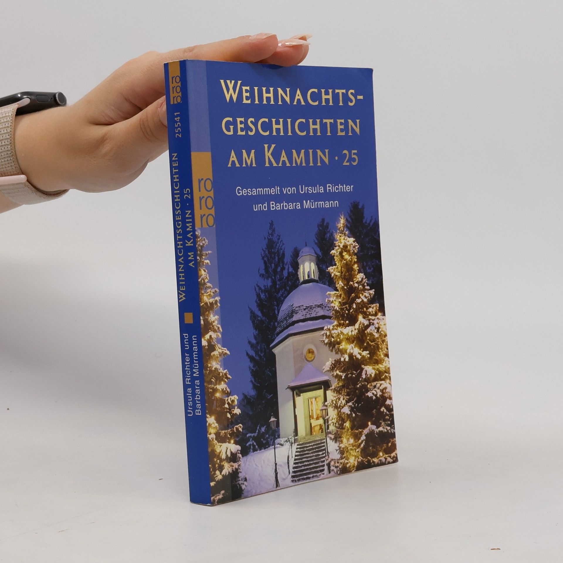 Ursula Richter Weihnachtsgeschichten am Kamin 25. Originalausgabe