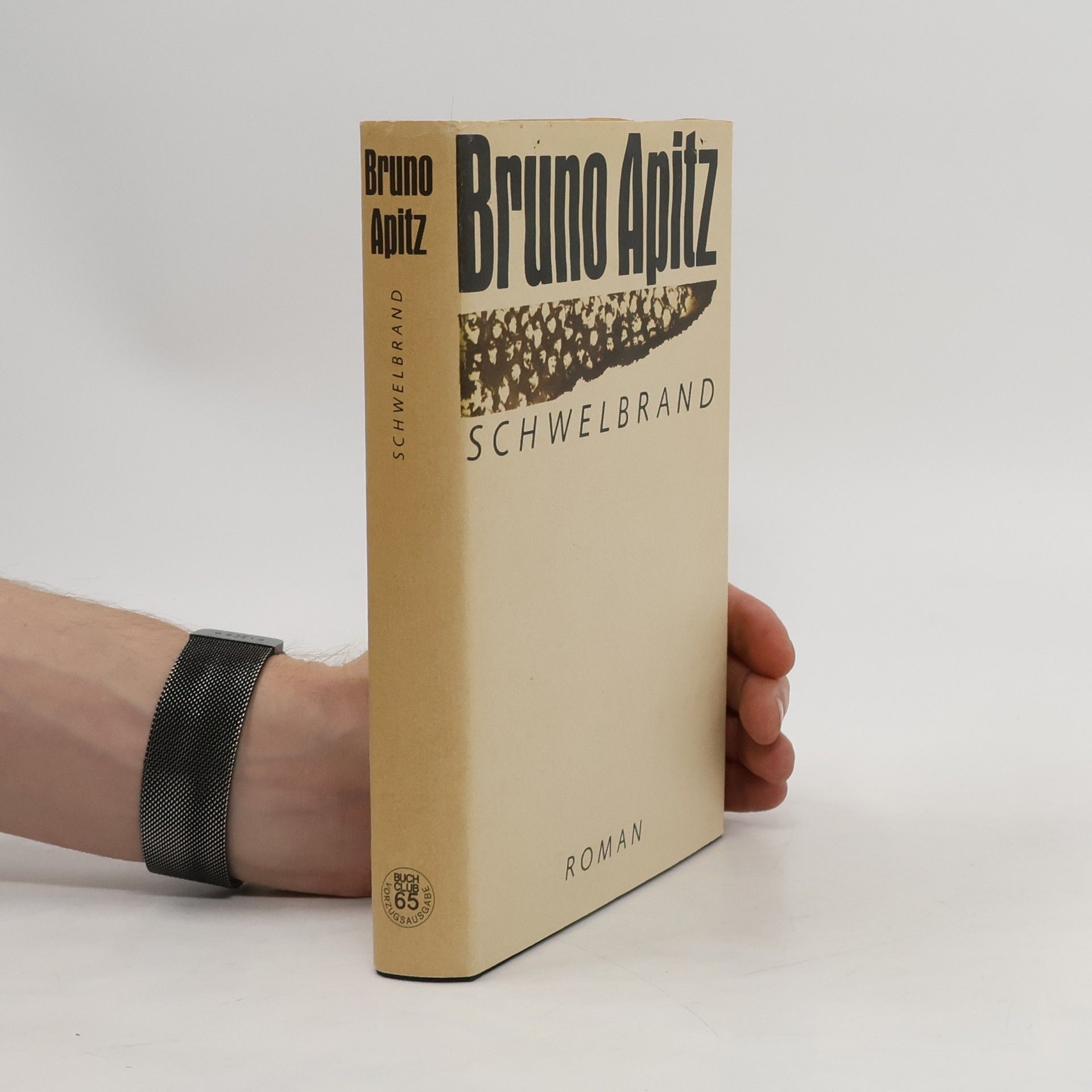 Bruno Apitz Schwelbrand